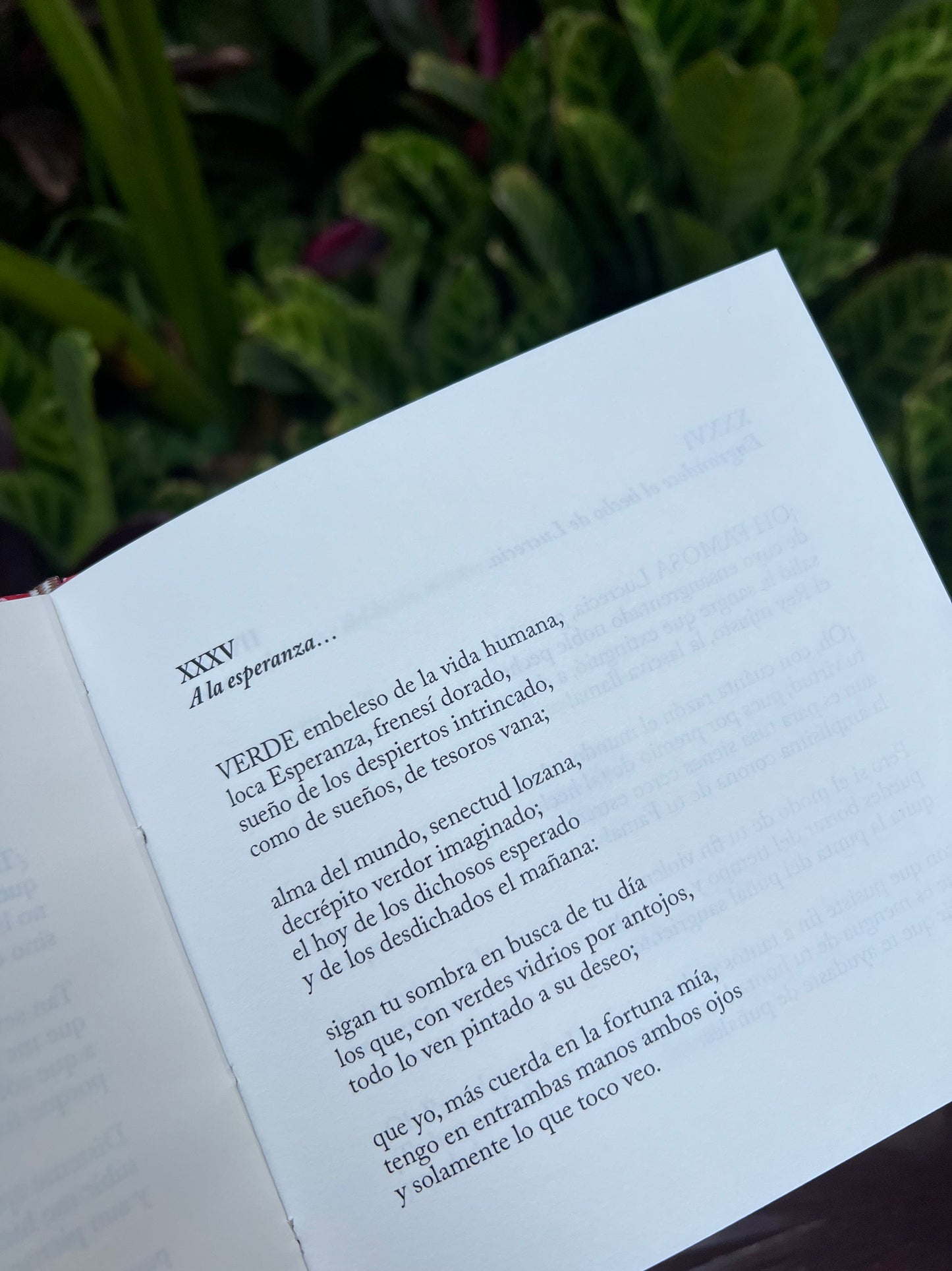 Sonetos - Sor Juana Inés de La Cruz
