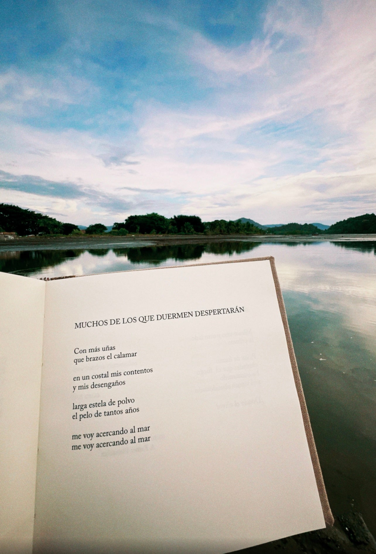 Cuerpo de tierra - Horacio Benavides