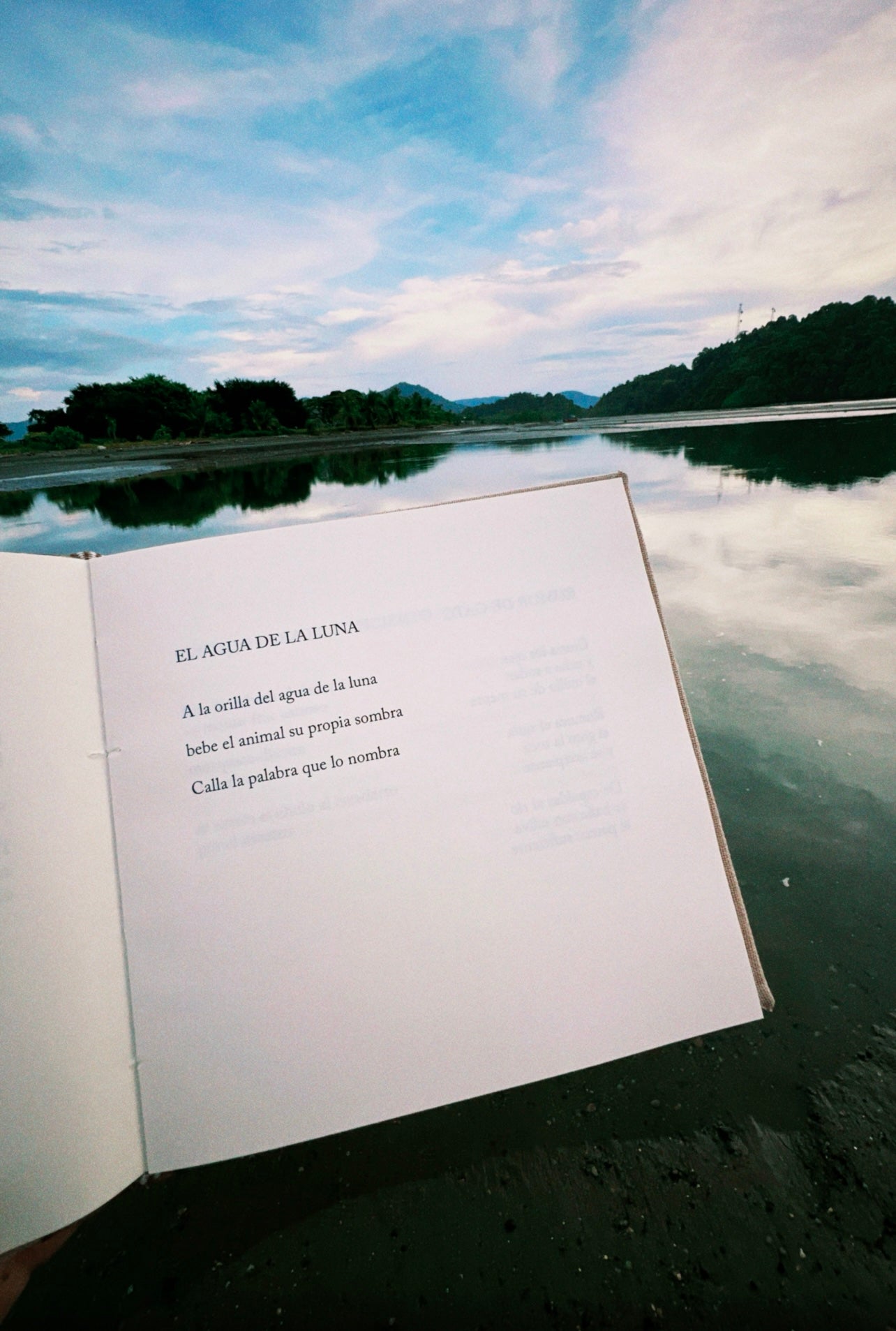 Cuerpo de tierra - Horacio Benavides