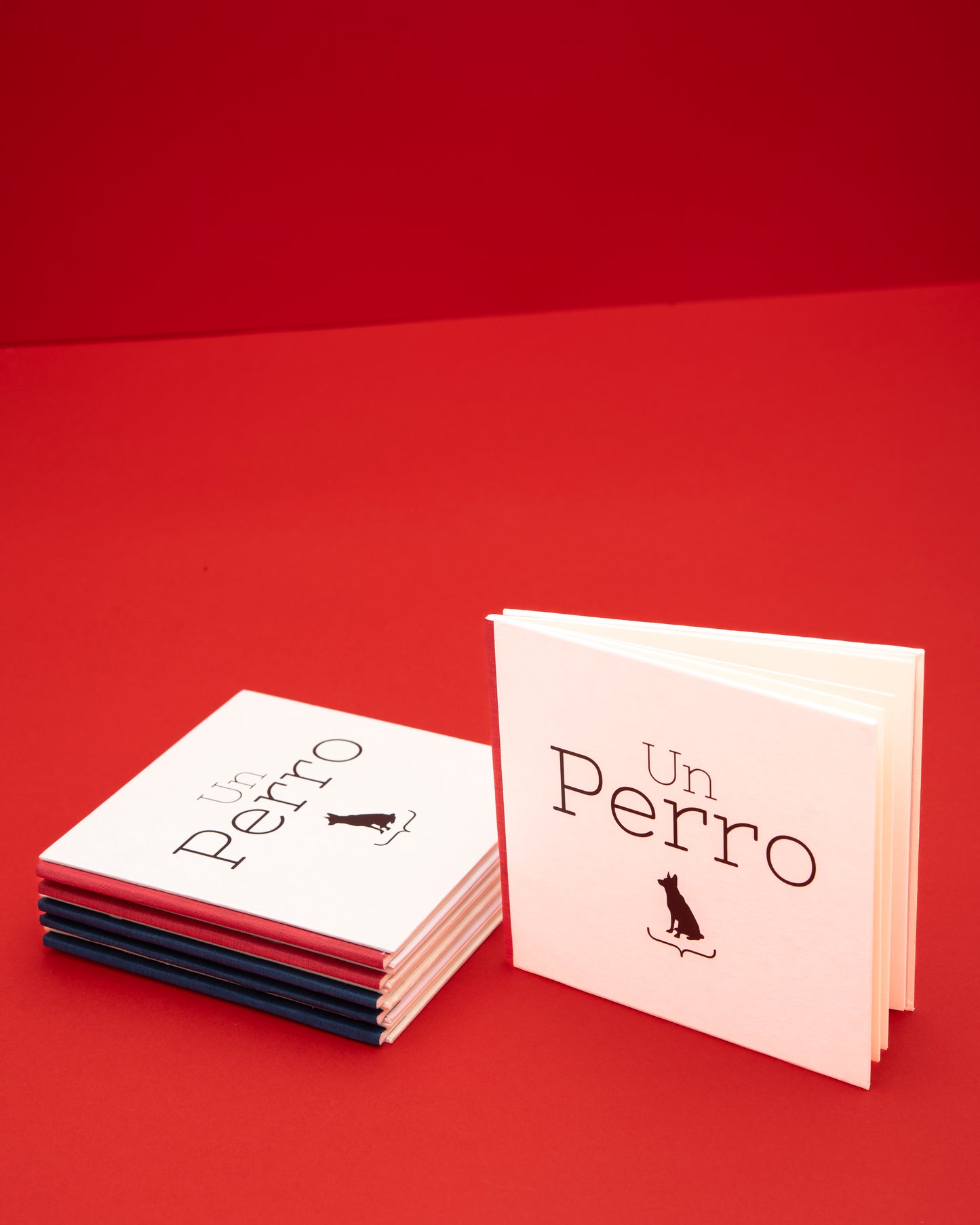 Un perro - Valentina Toro