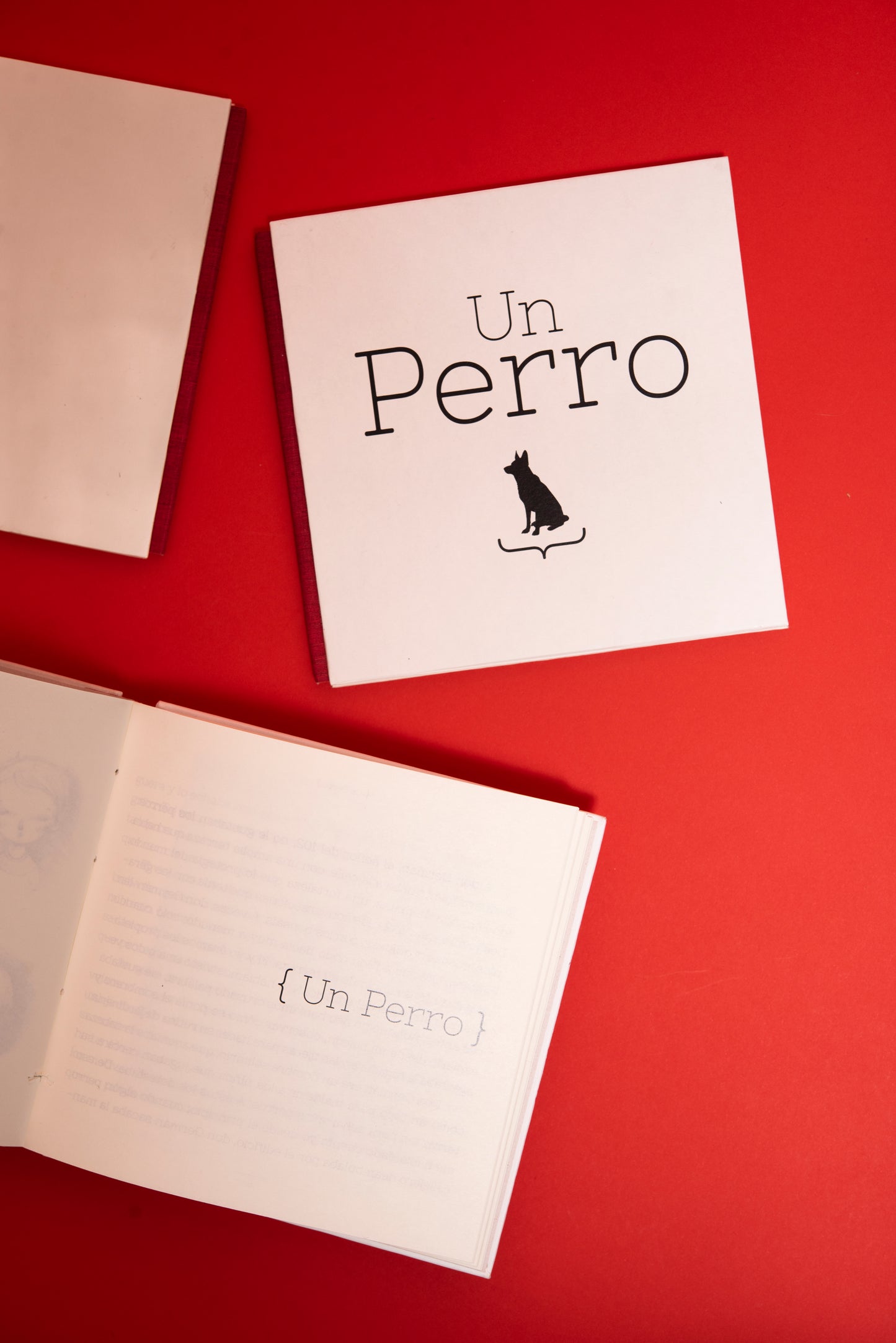 Un perro - Valentina Toro