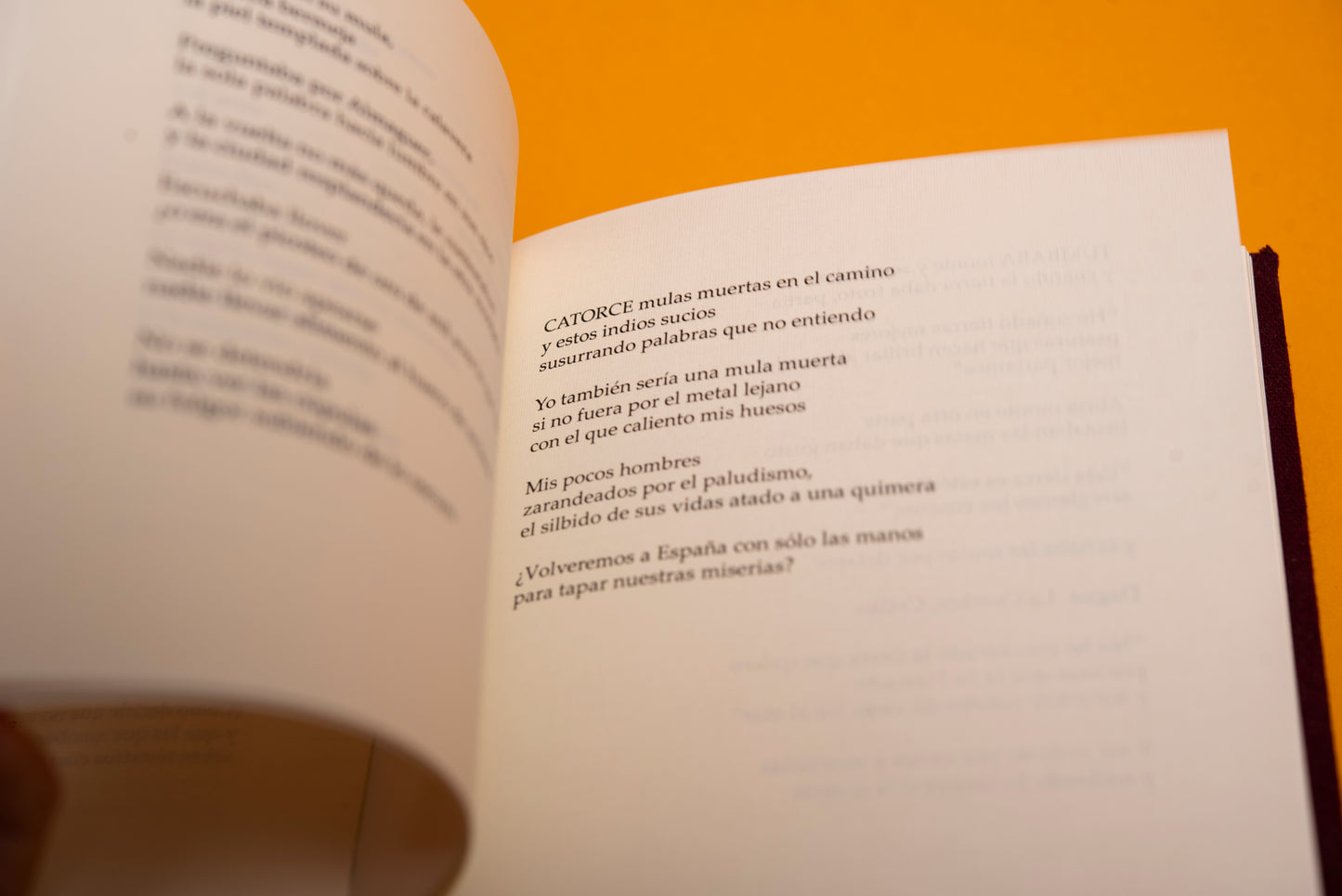 Conversación a oscuras - Horacio Benavides