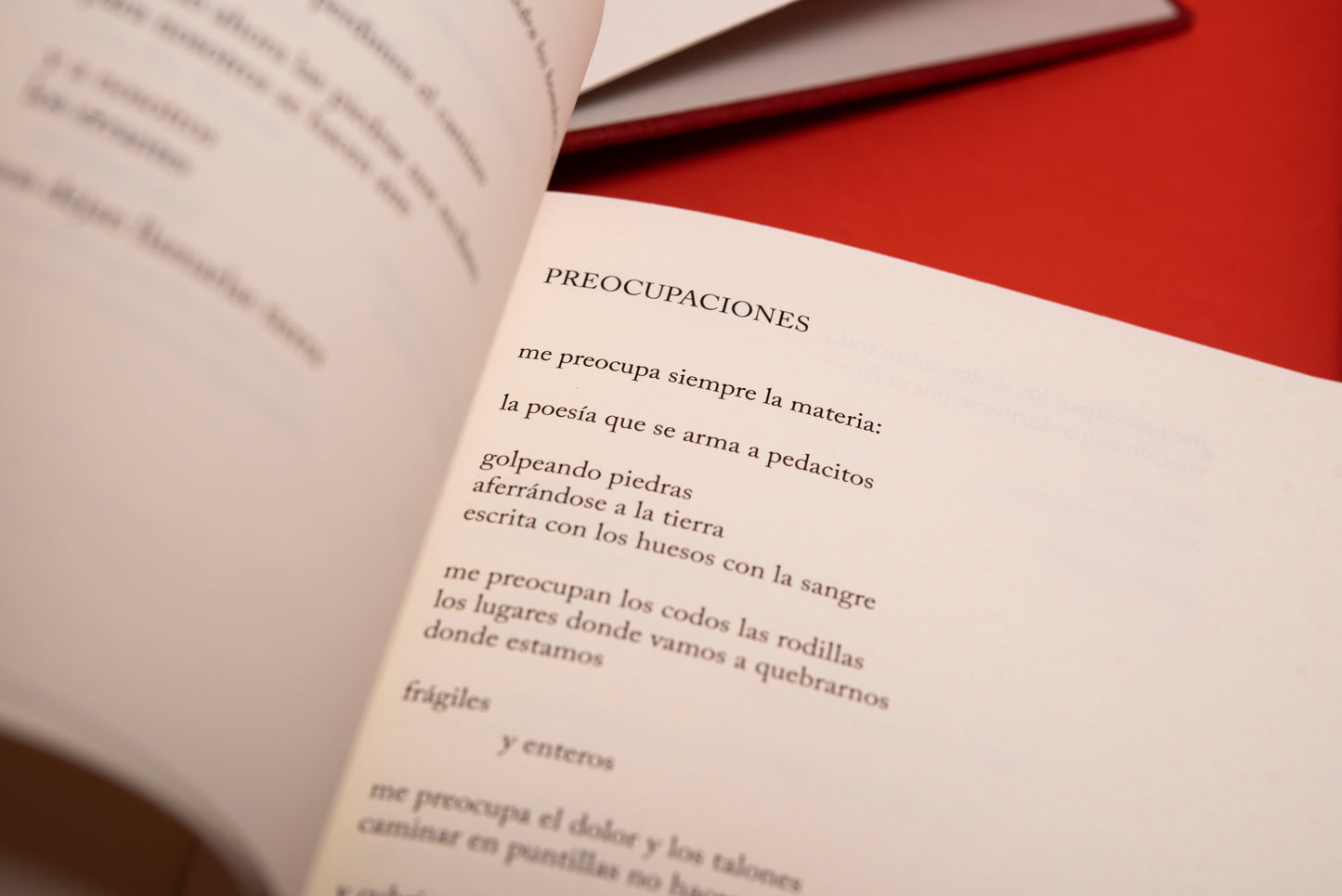Palabras piel - María Gómez Lara
