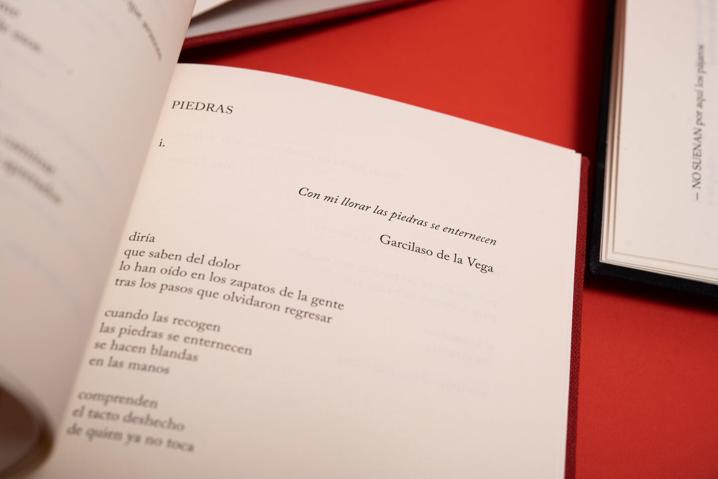 Palabras piel - María Gómez Lara