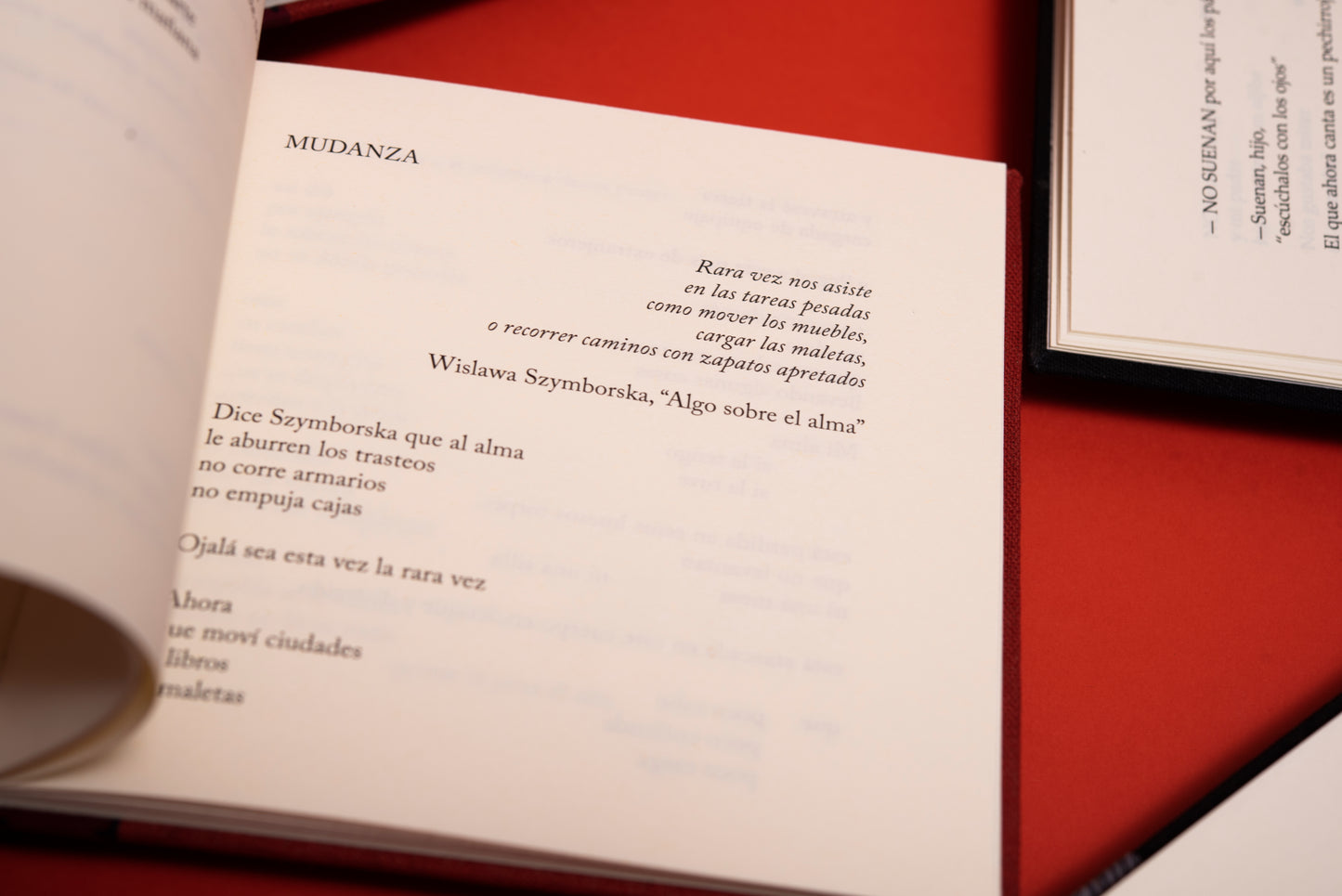 Palabras piel - María Gómez Lara