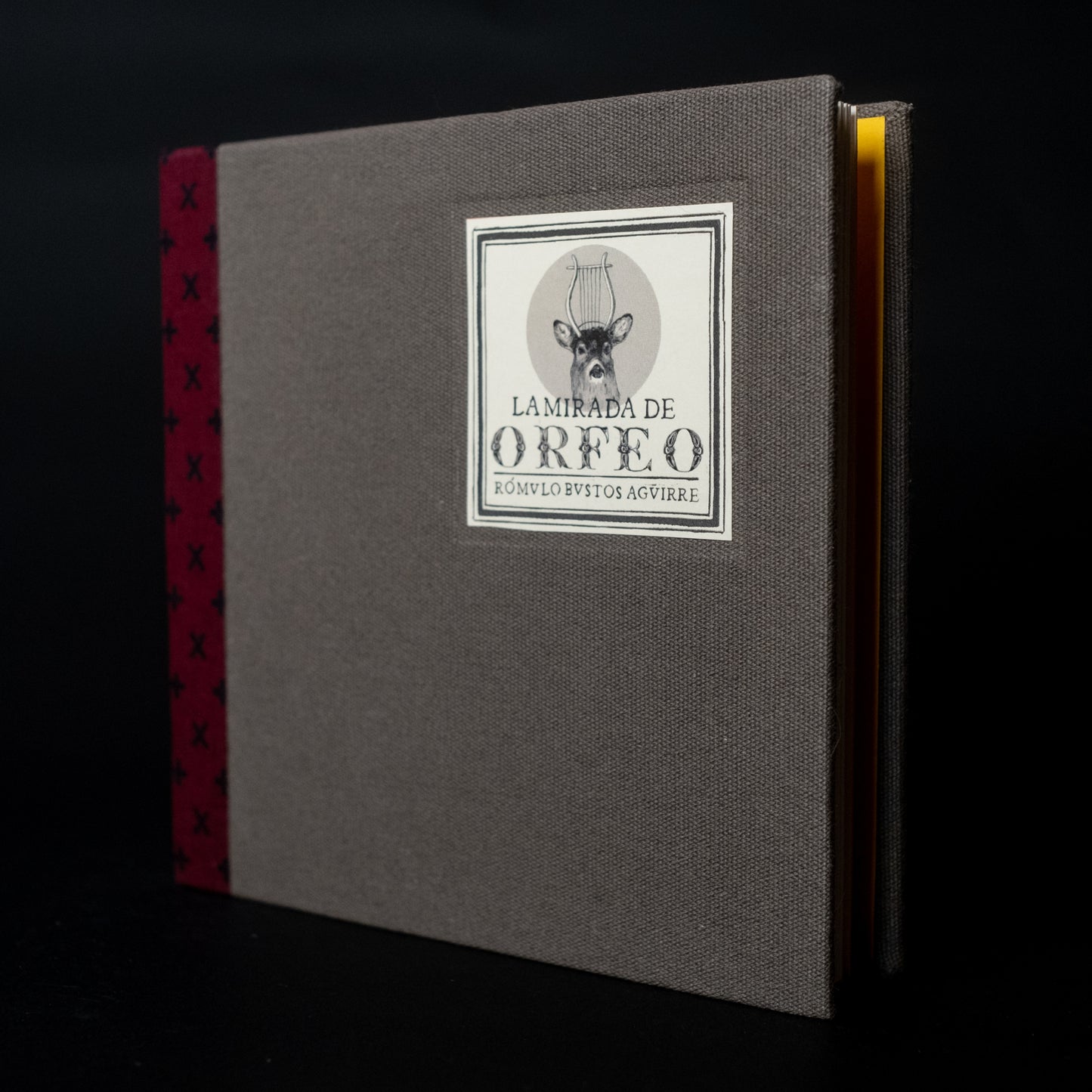 La mirada de Orfeo - Rómulo Bustos