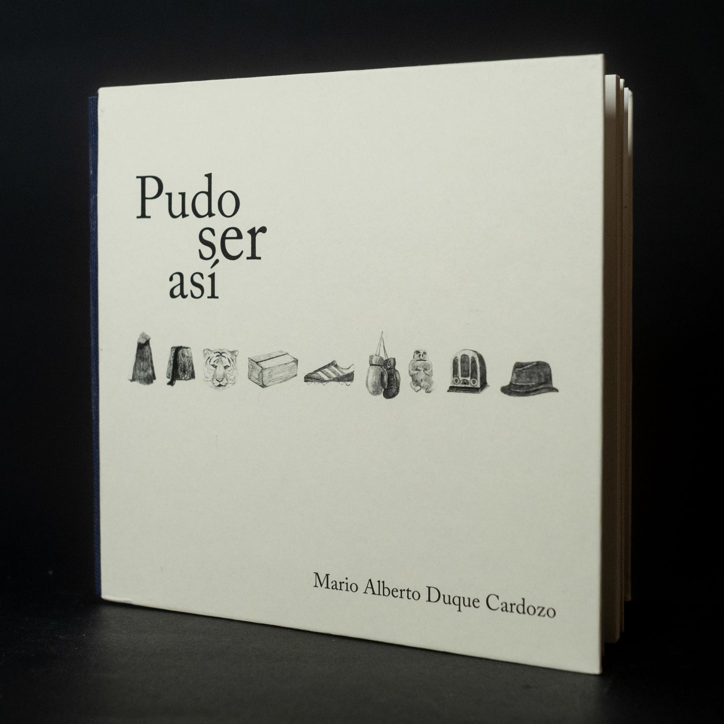 Pudo ser así - Mario Duque Cardozo