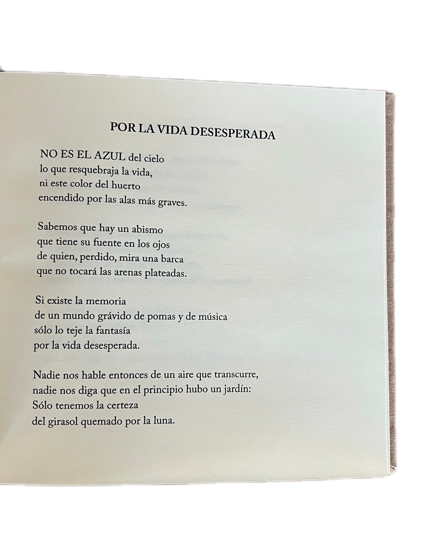 Muerte de Merlín - Giovanni Quessep