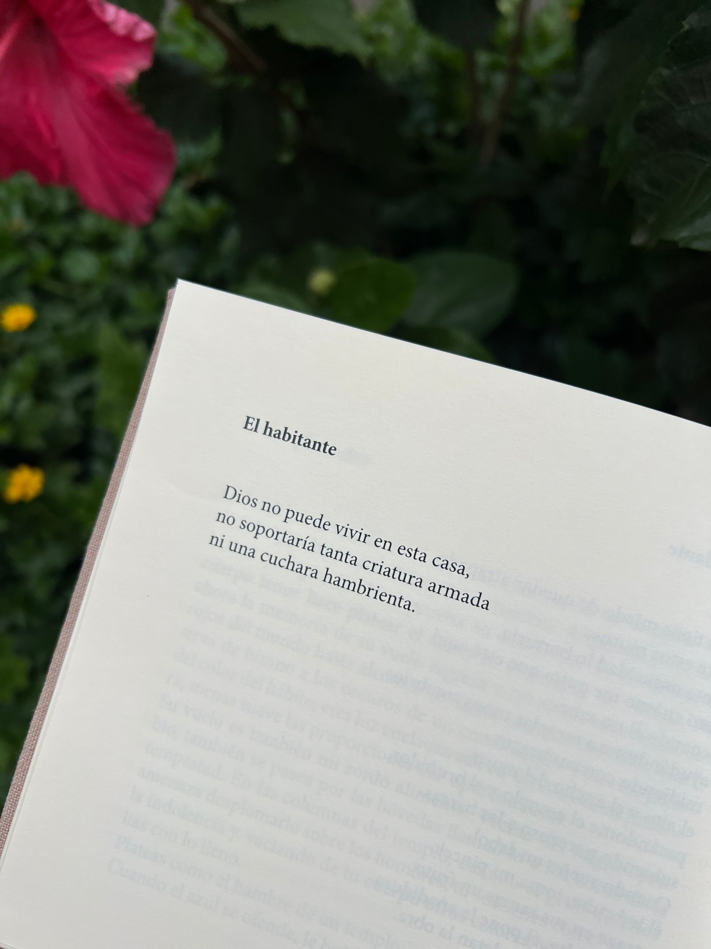 La quinta del sordo - Nelson Romero Guzmán
