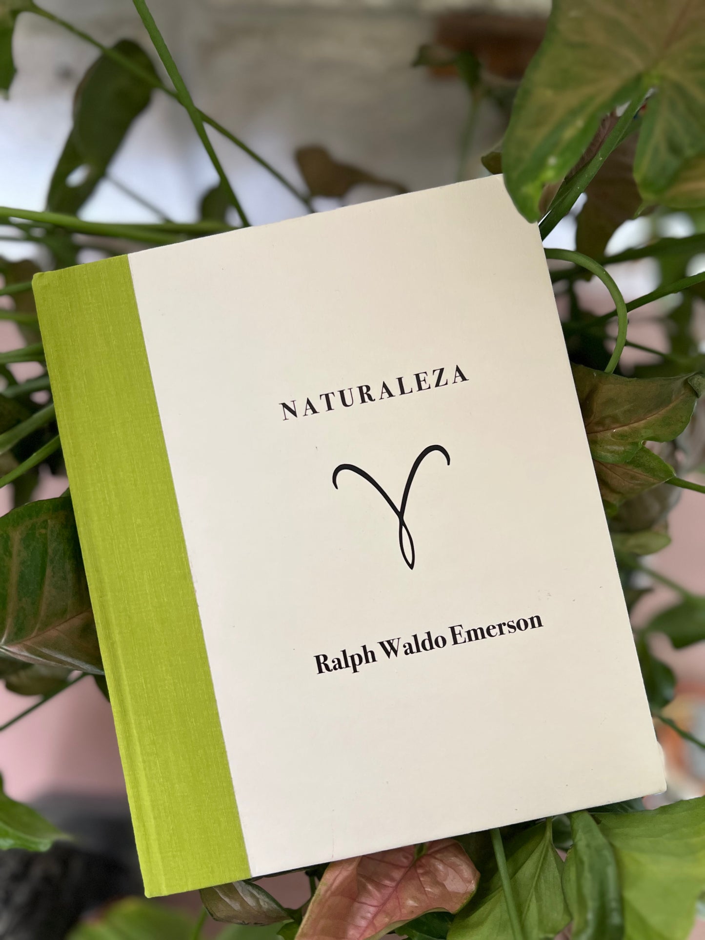 Naturaleza - Ralph Waldo Emerson