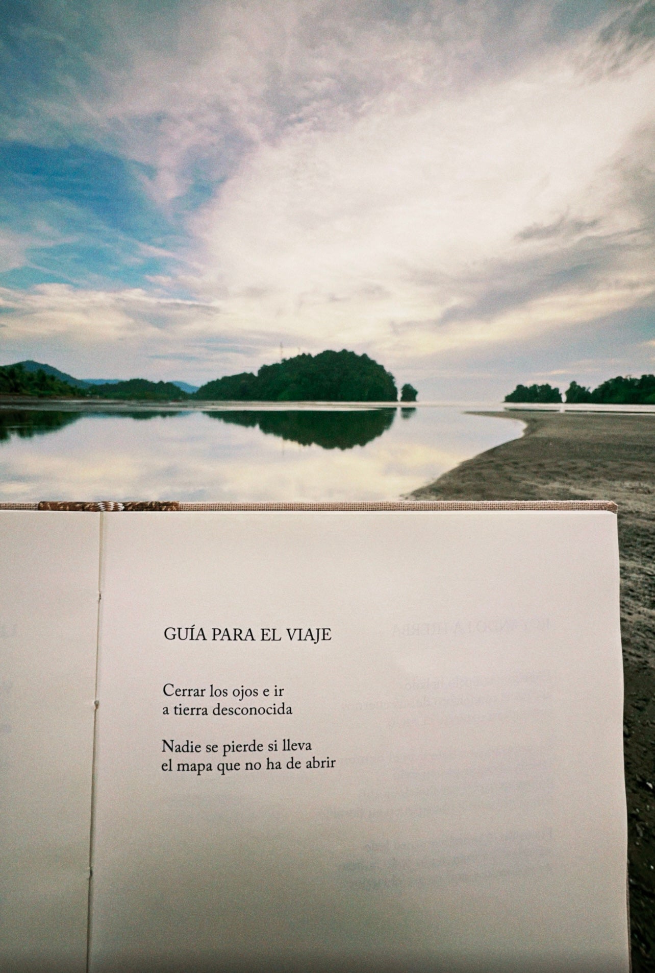 Cuerpo de tierra - Horacio Benavides