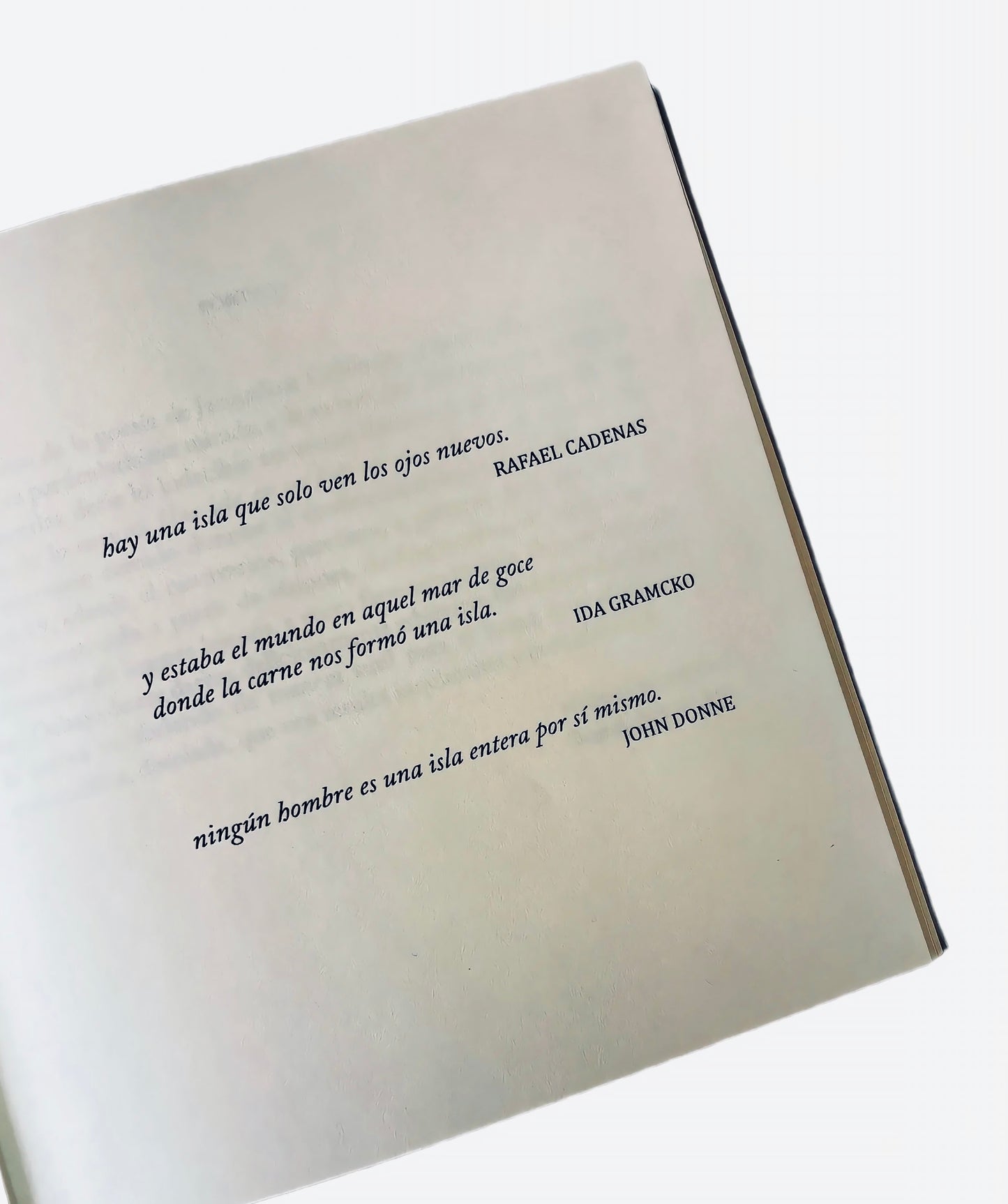 Una isla en un lago en una isla - Jacqueline Goldberg