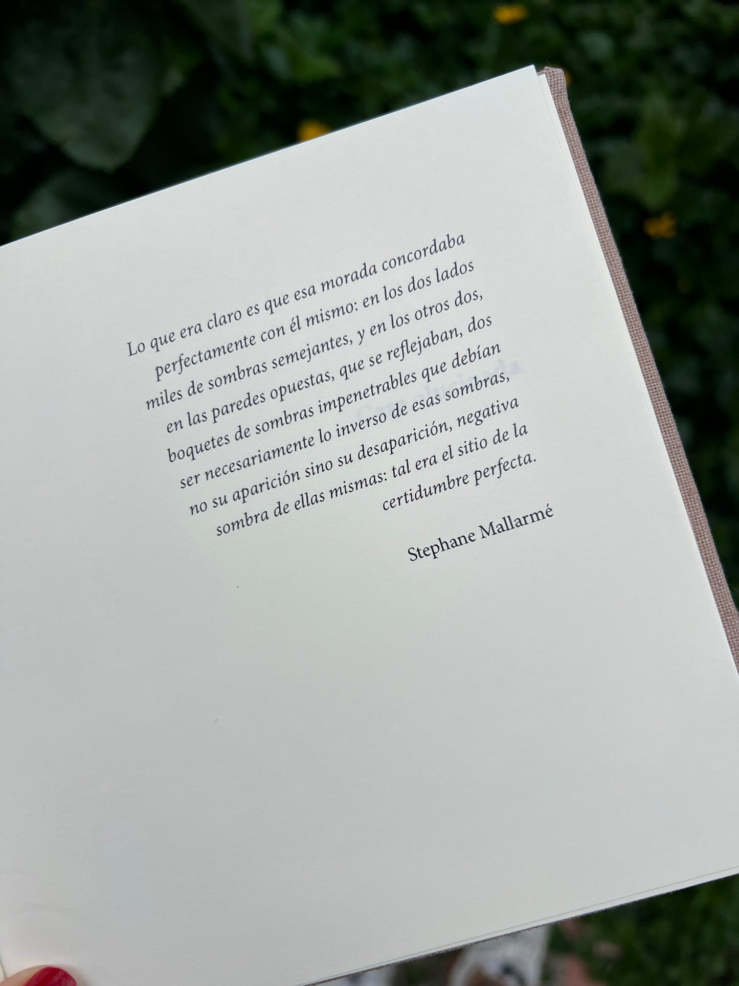 La quinta del sordo - Nelson Romero Guzmán