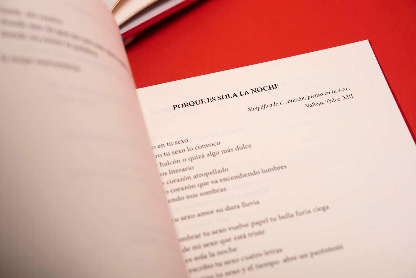 Poemas de Amor - Piedad Bonnett