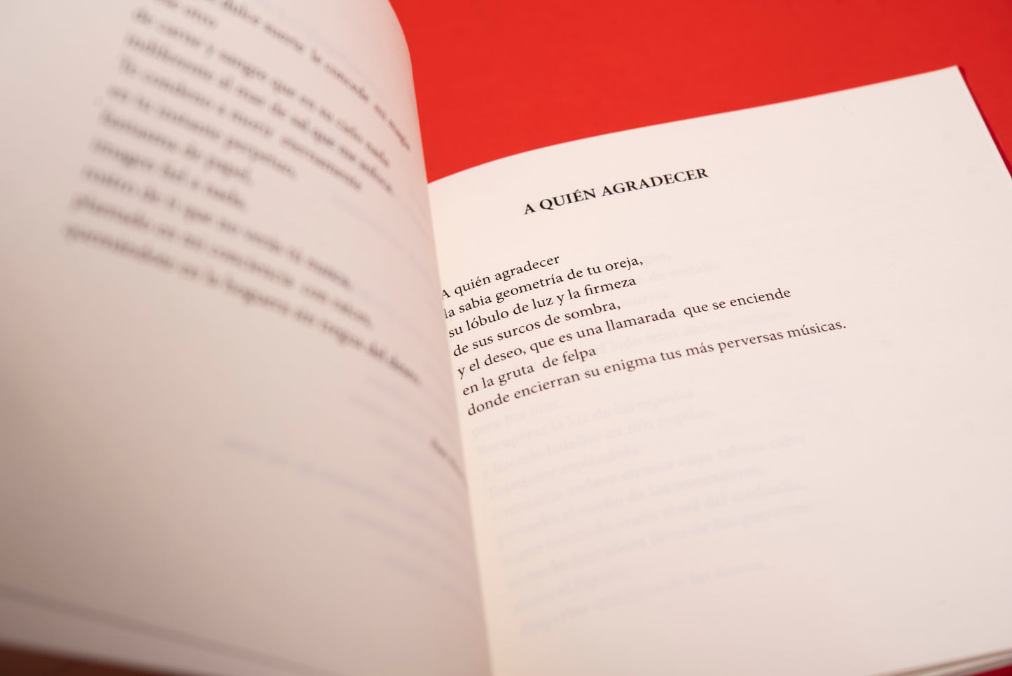 Poemas de Amor - Piedad Bonnett