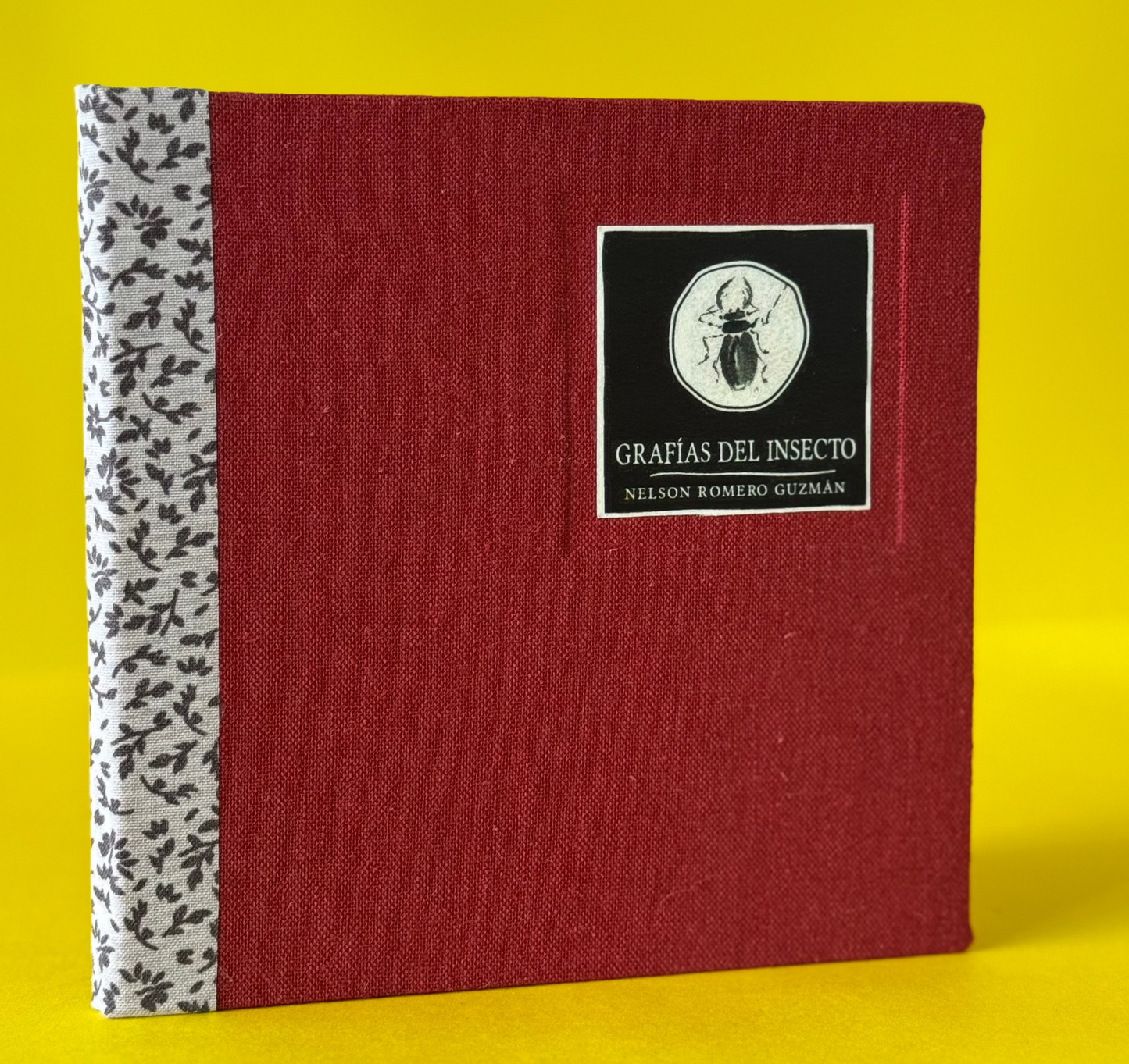 Grafías del insecto - Nelson Romero