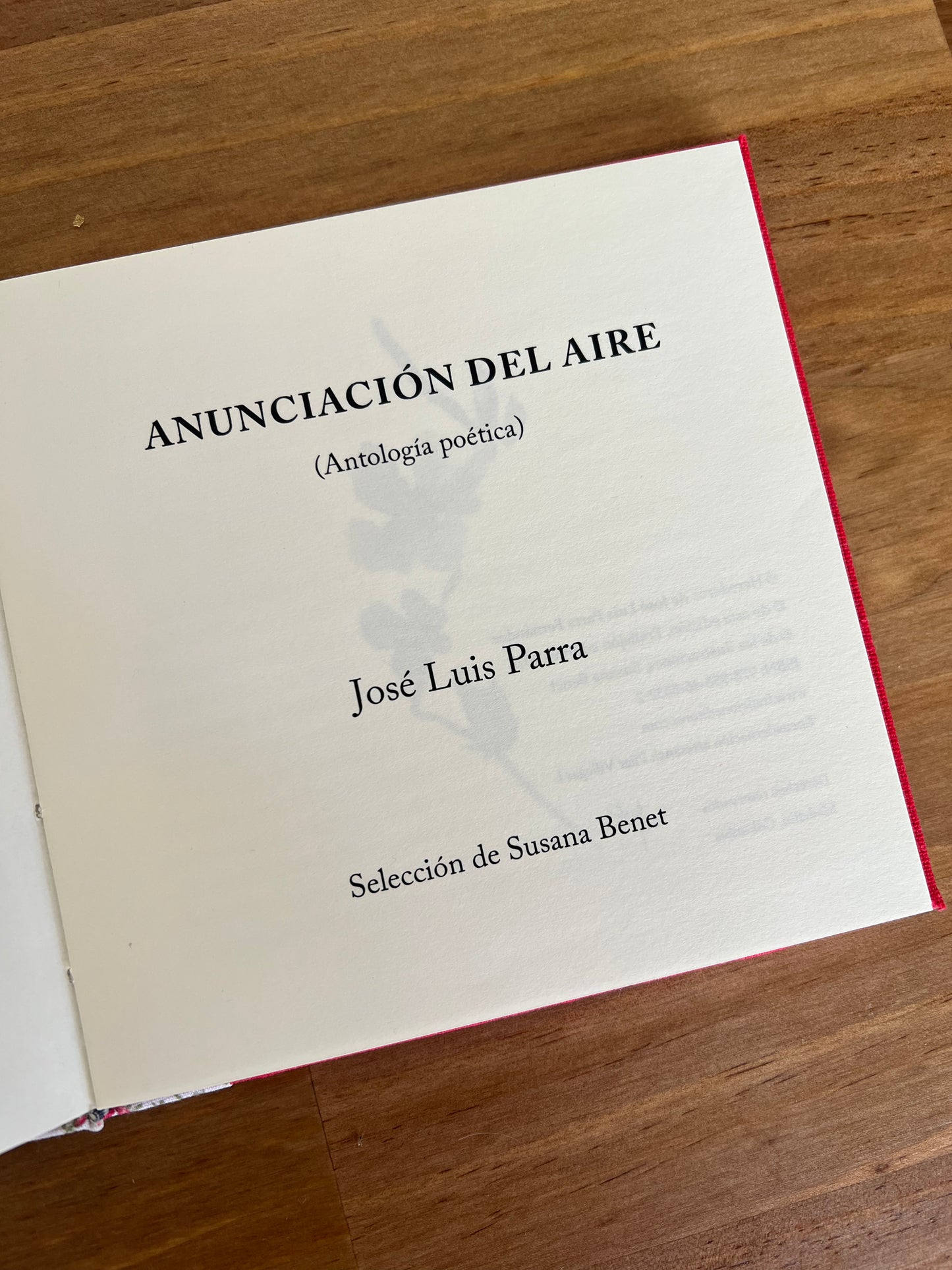 Anunciación del aire - José Luis Parra