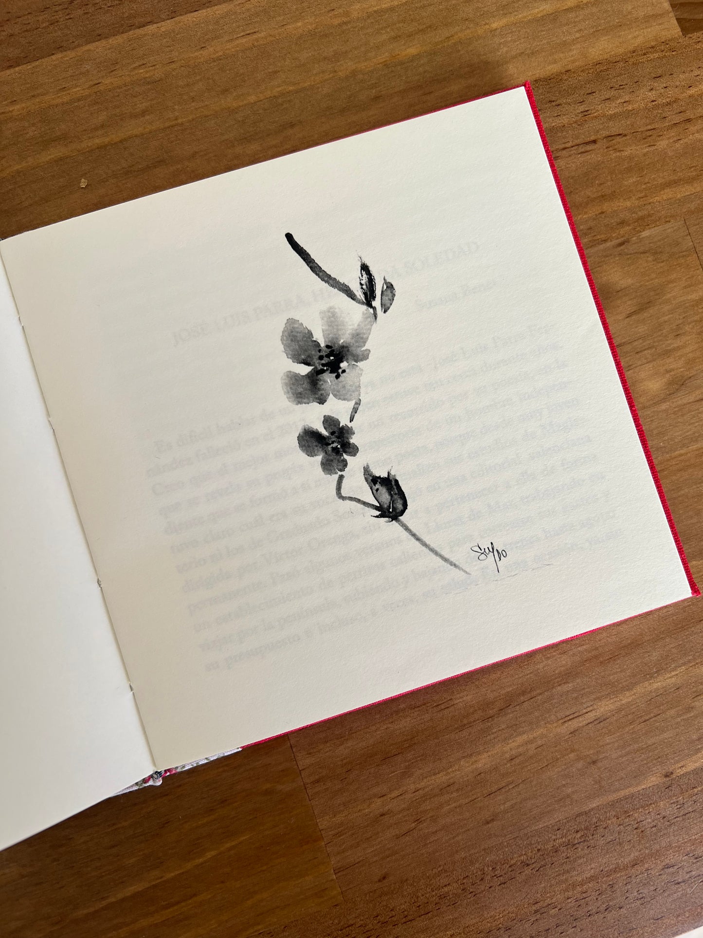 Anunciación del aire - José Luis Parra