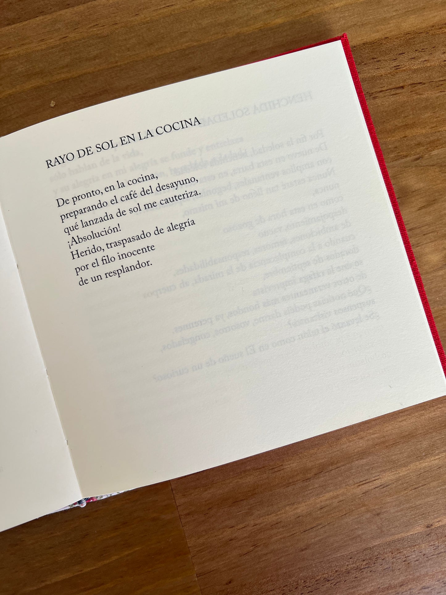 Anunciación del aire - José Luis Parra