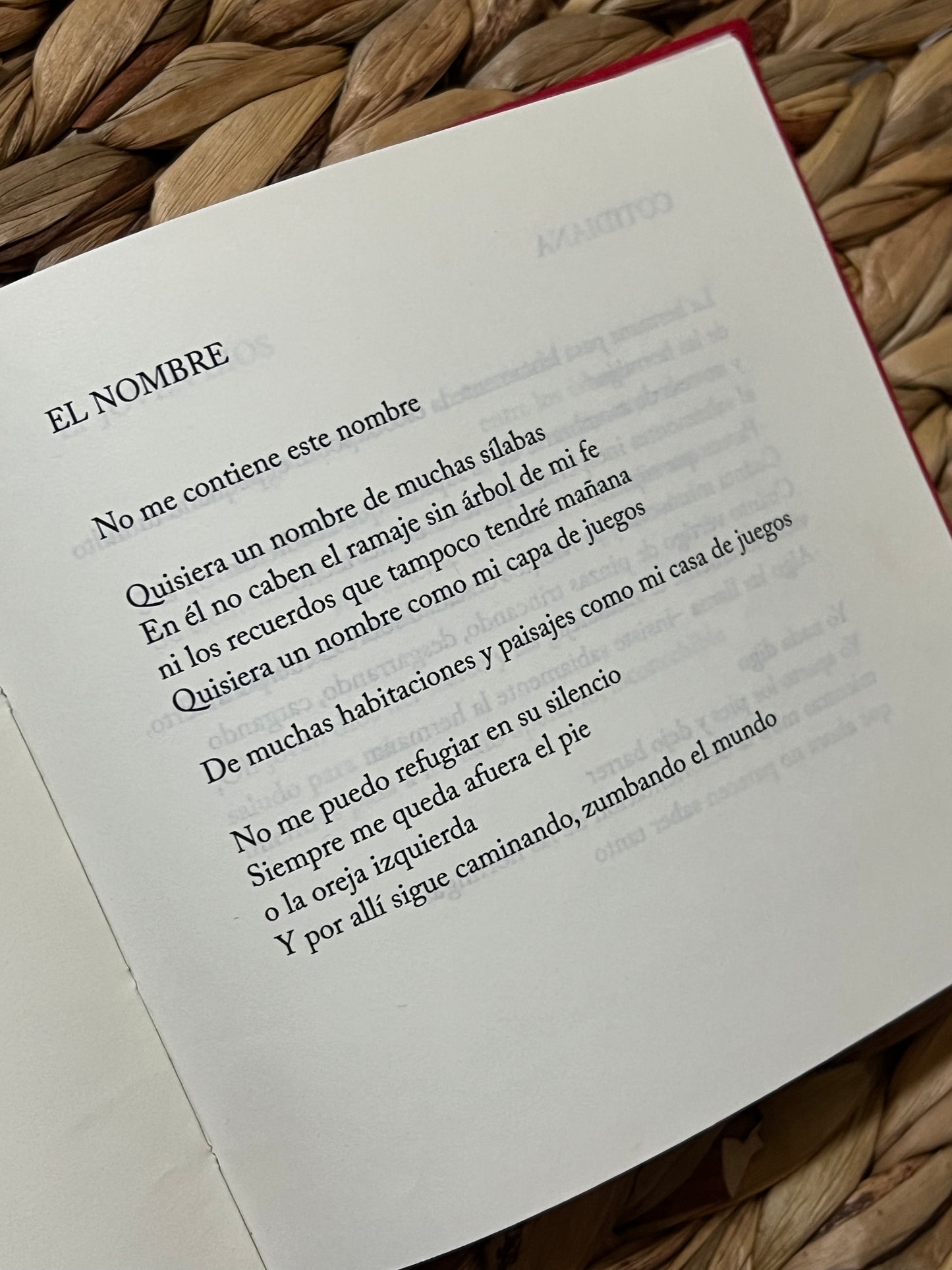 Parábolas del vuelo - Rómulo Bustos