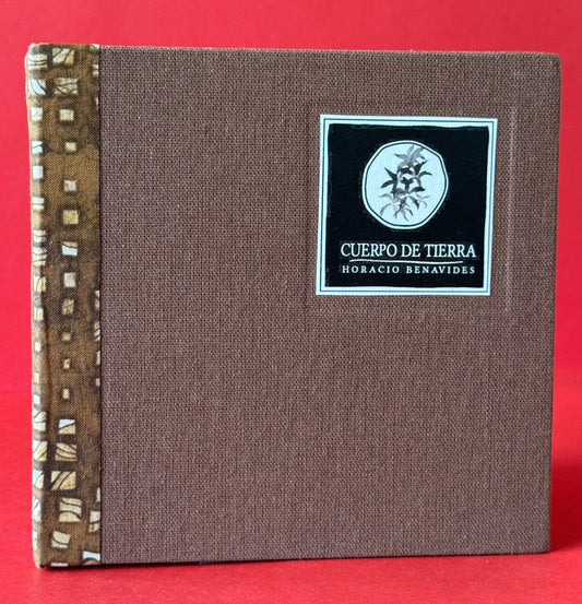 Cuerpo de tierra - Horacio Benavides