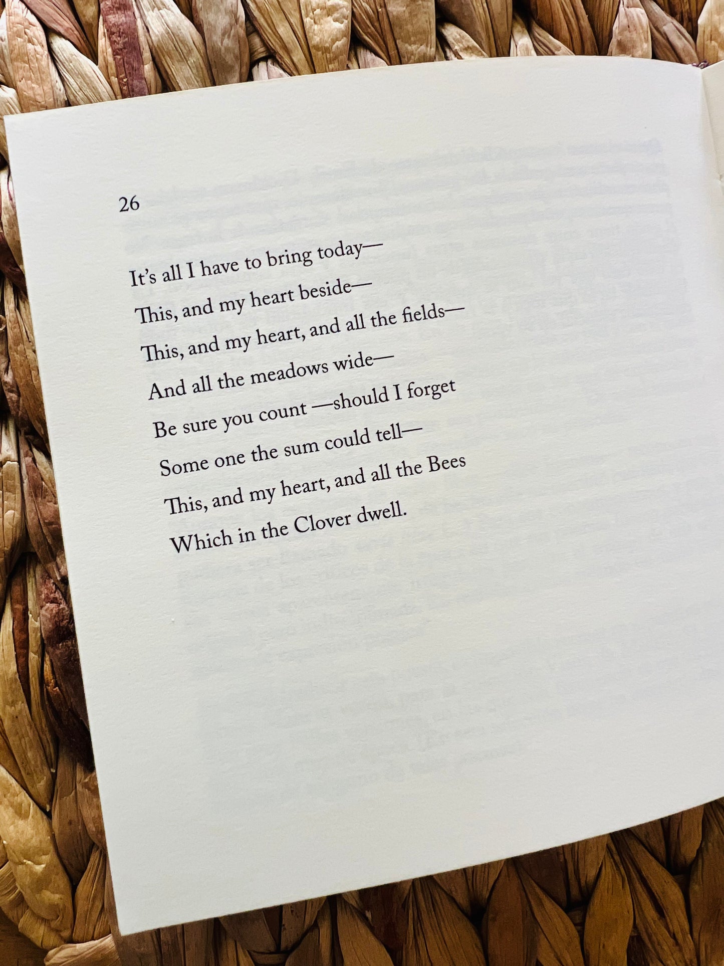 Caja Poesía Bilingüe