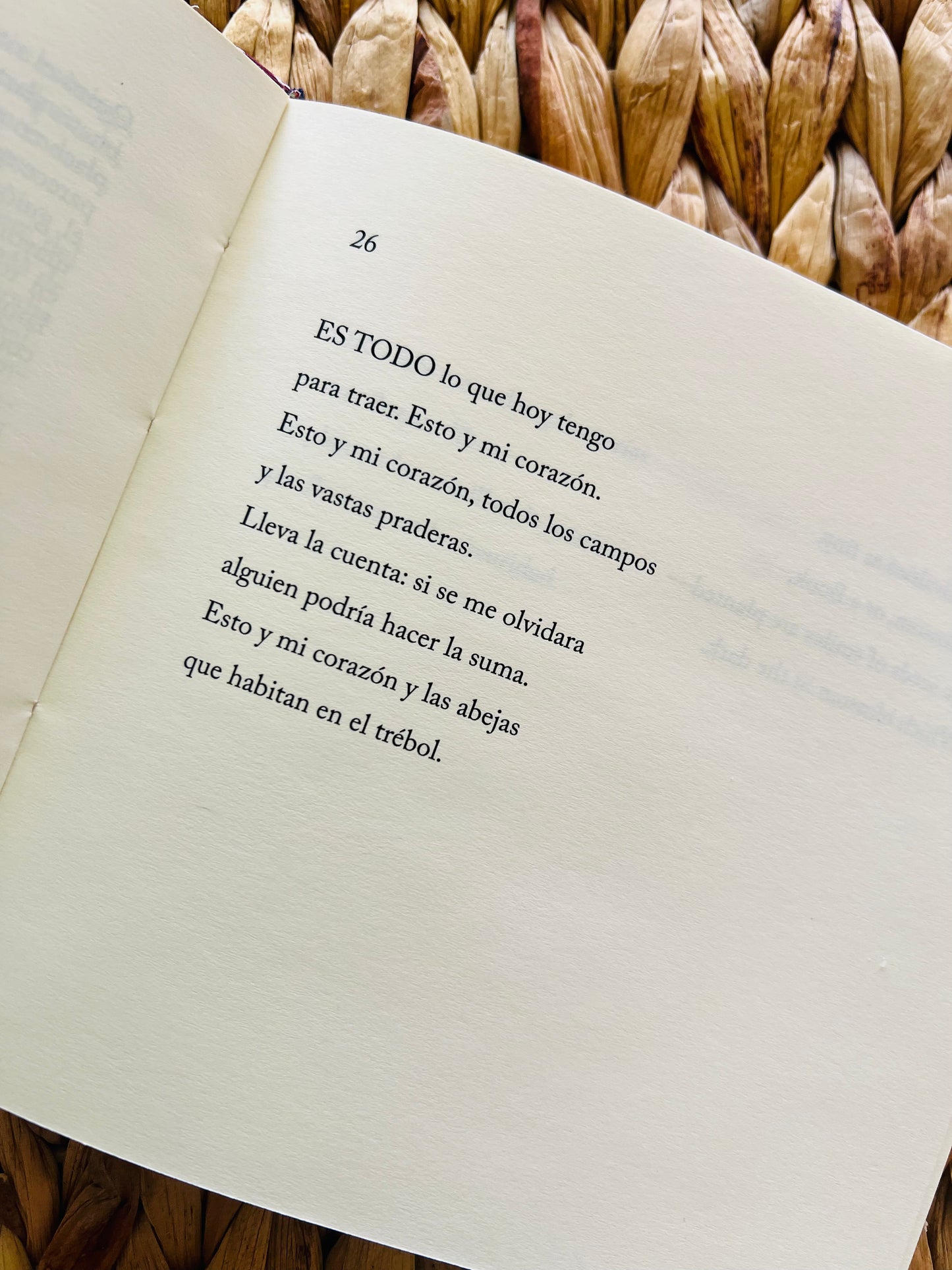 Caja Poesía Bilingüe