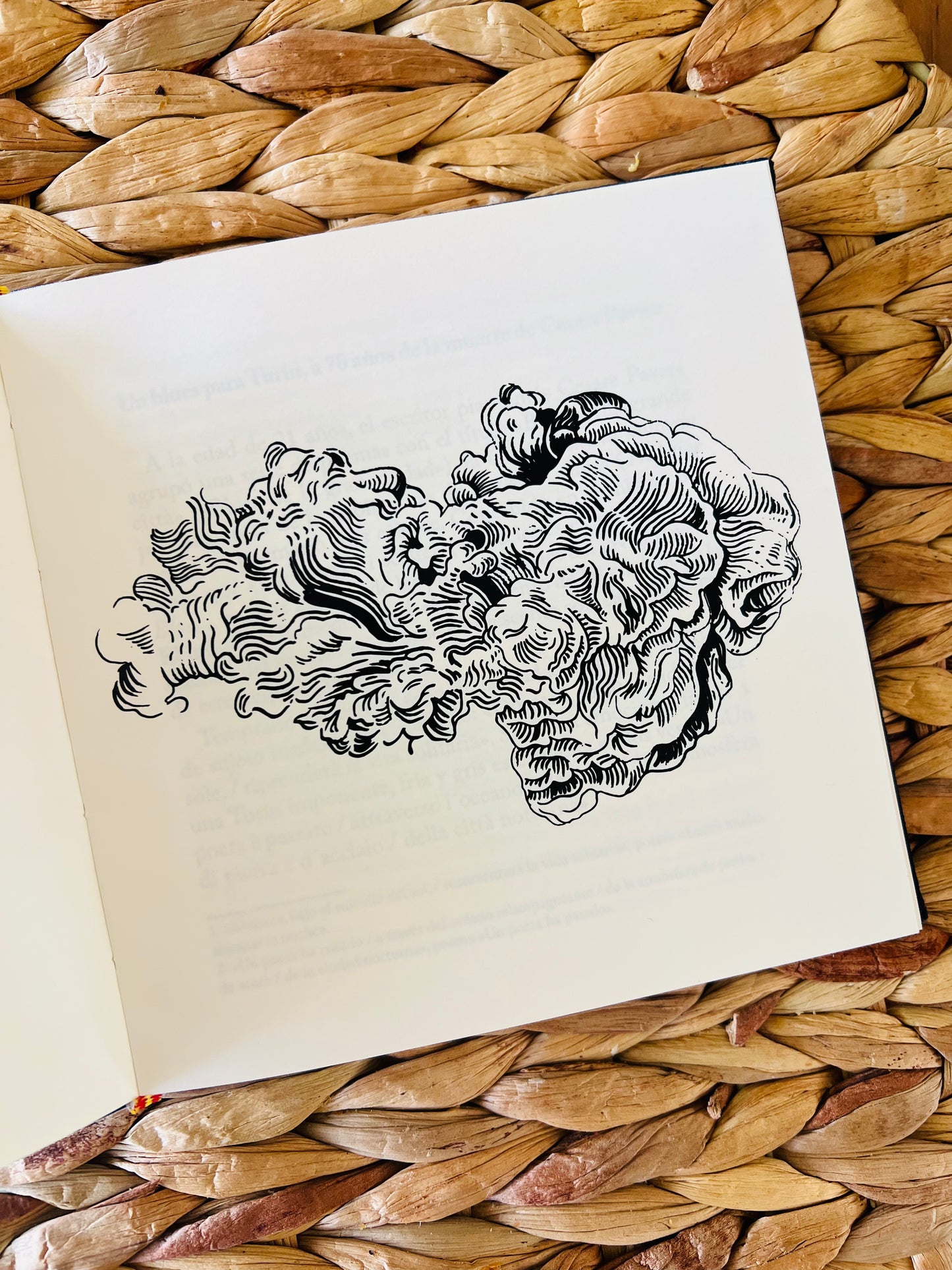 Caja Poesía Bilingüe