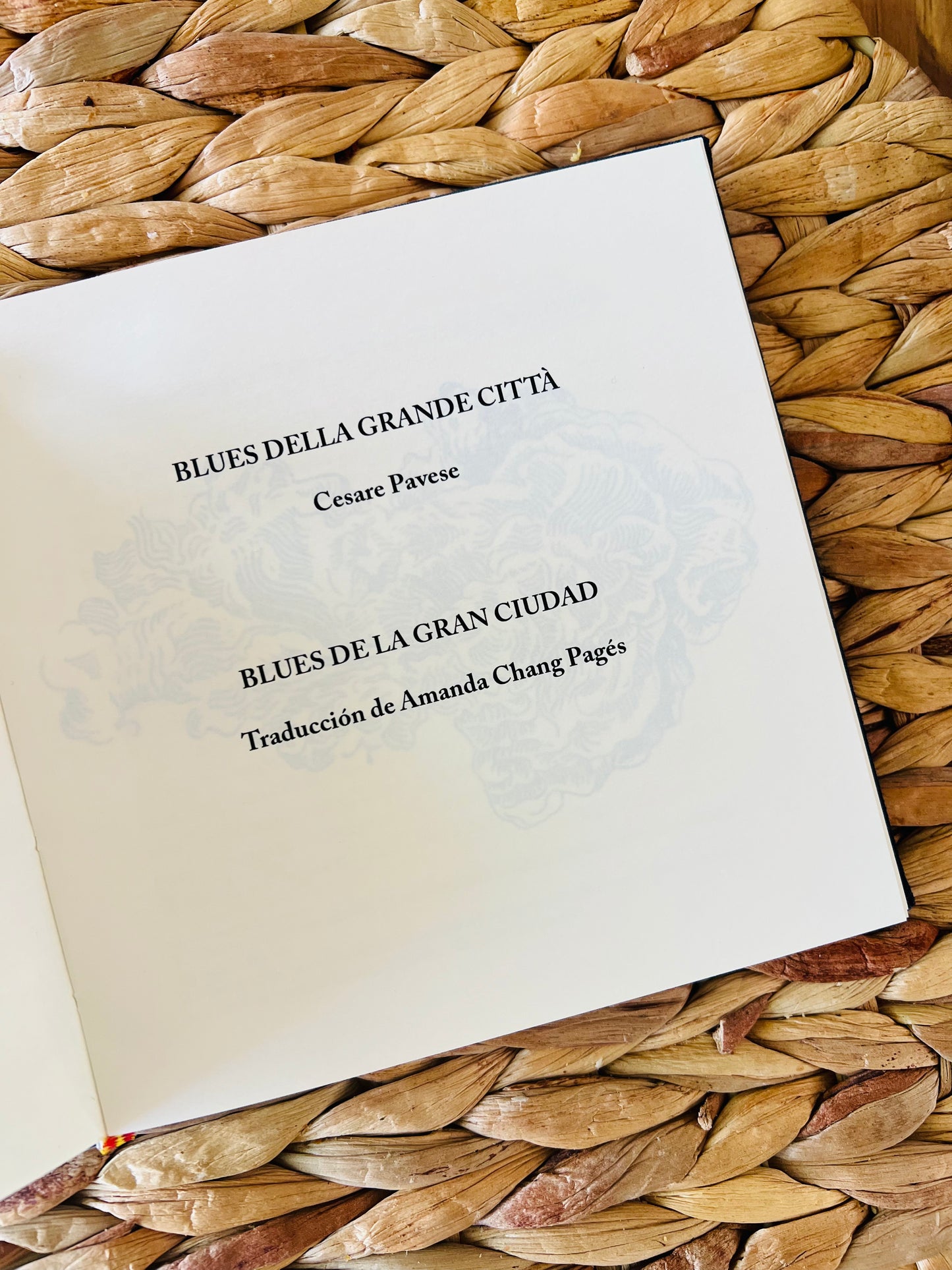 Caja Poesía Bilingüe