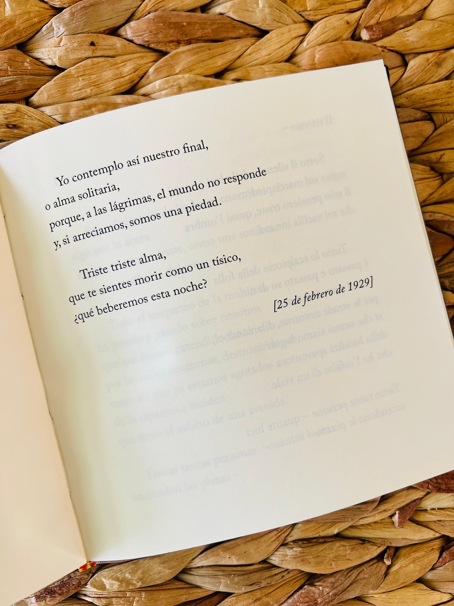 Caja Poesía Bilingüe