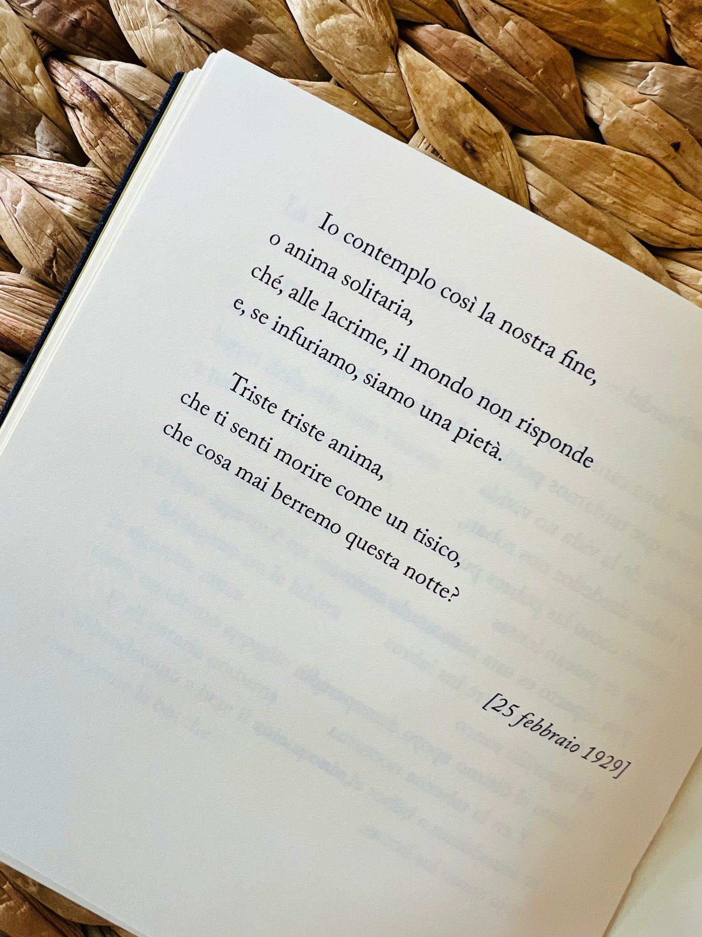 Caja Poesía Bilingüe