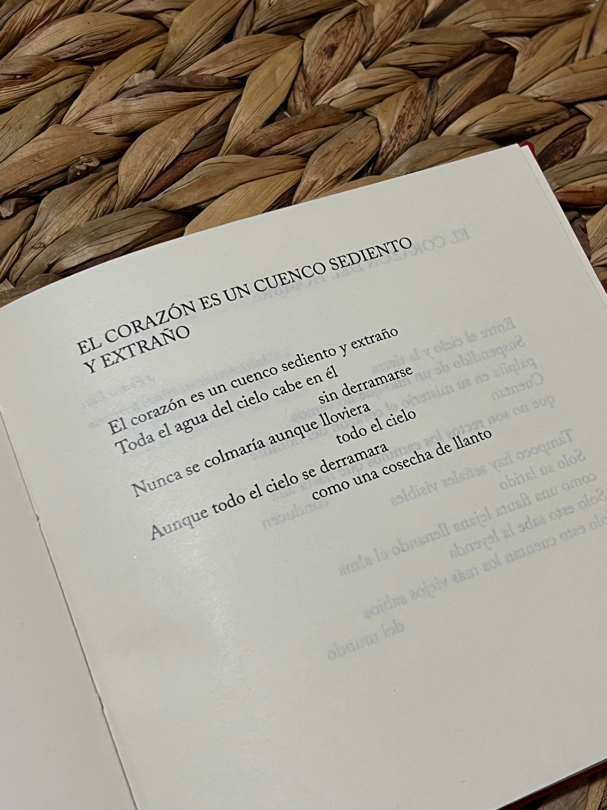 Parábolas del vuelo - Rómulo Bustos