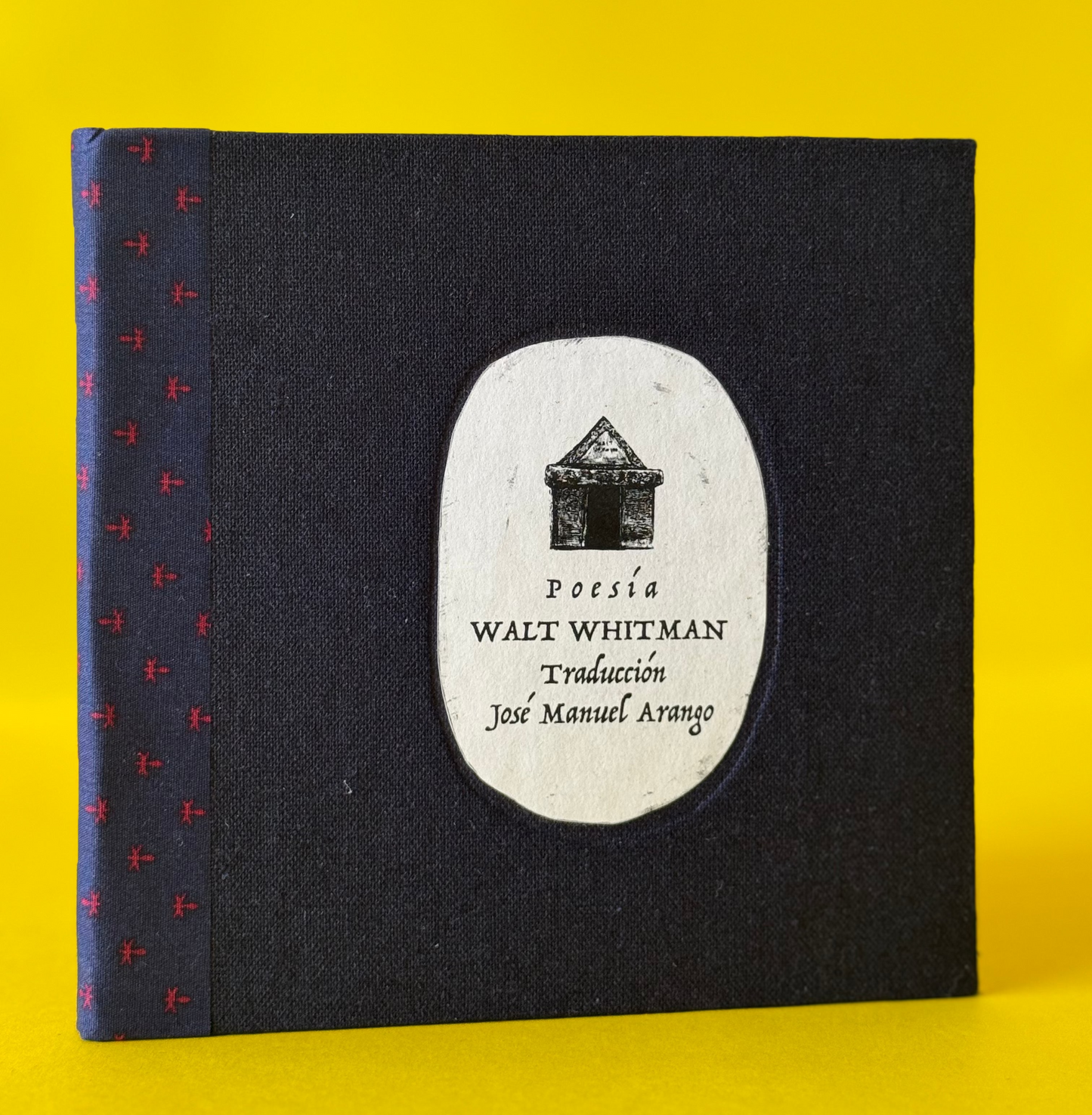 Vainas y otros poemas - Maria Mercedes Carranza