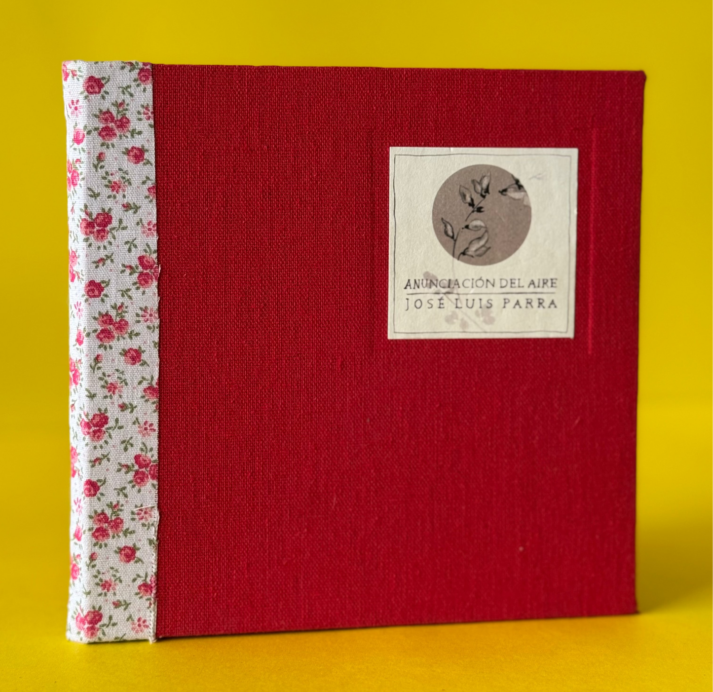 Anunciación del aire - José Luis Parra - Imagen 1