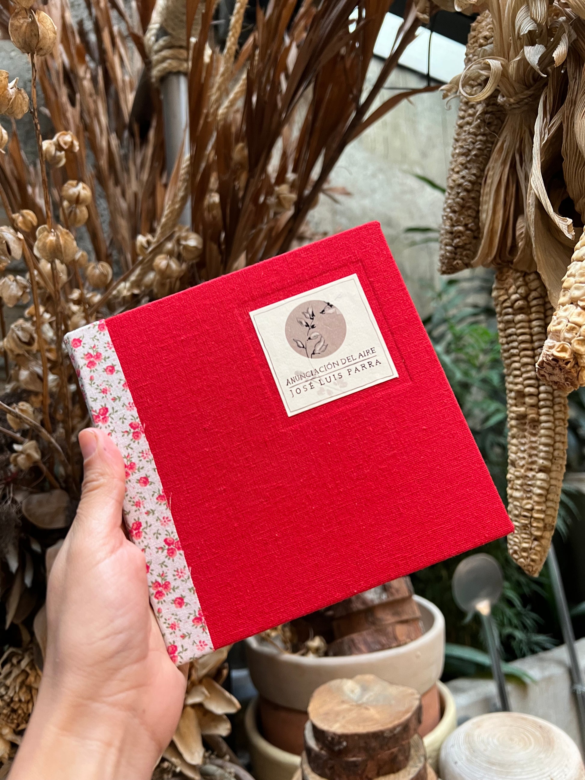 Anunciación del aire - José Luis Parra - Imagen 2