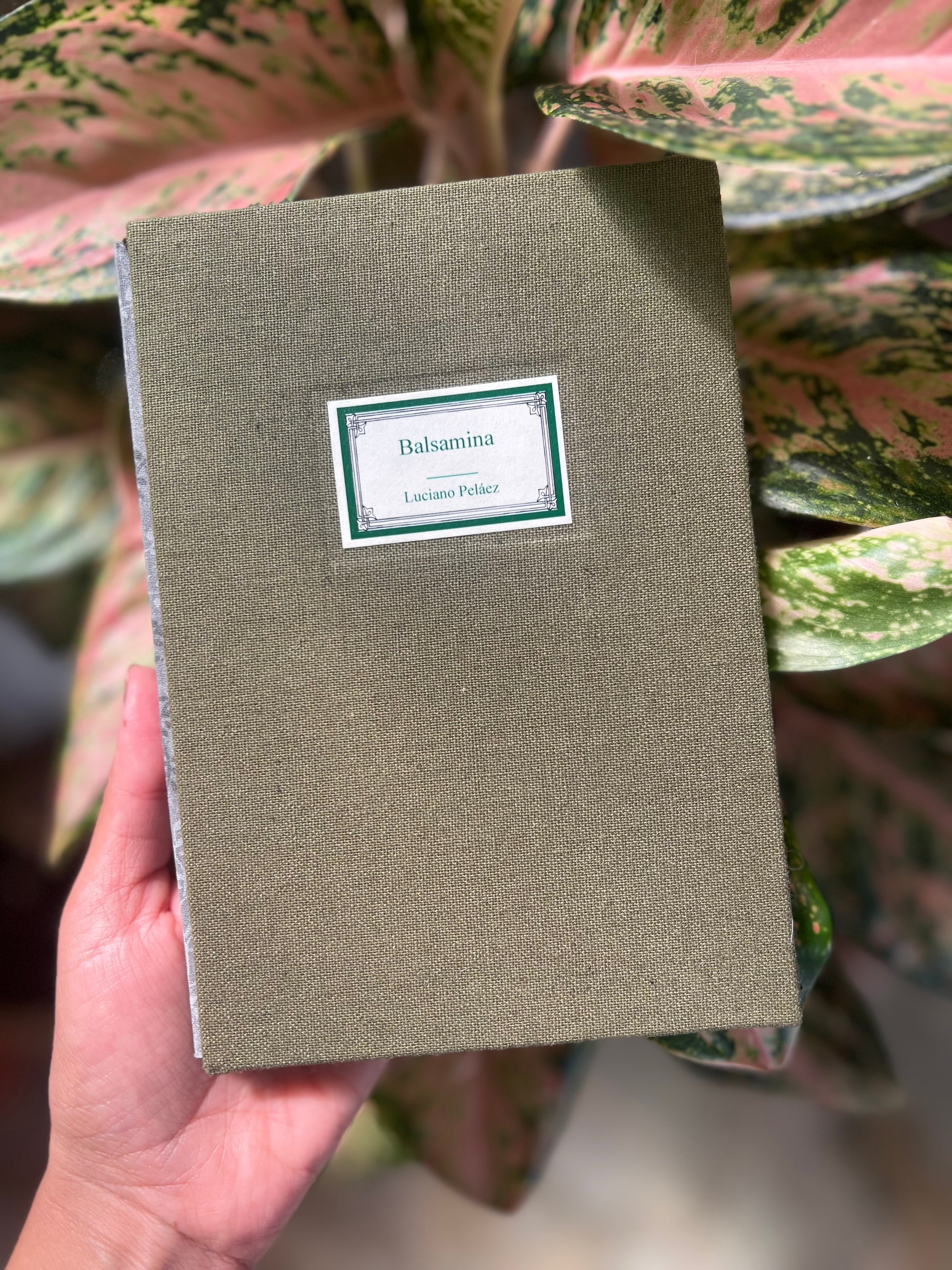 Balsamina - Luciano Peláez - Imagen 1