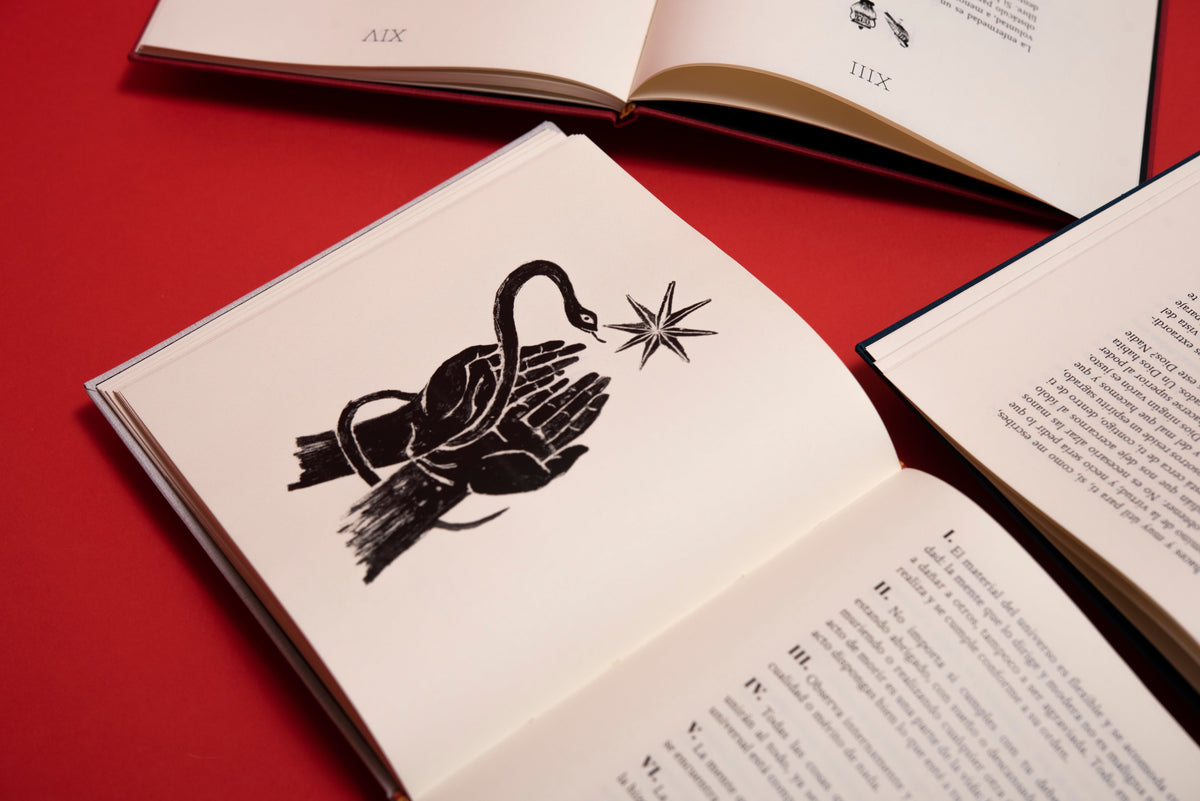 Ilustración de un cisne negro apoyado en una mano abierta, junto a una estrella, en las páginas interiores de «Meditaciones».