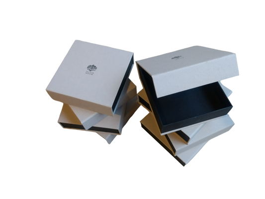 Caja Maestros Estoicos