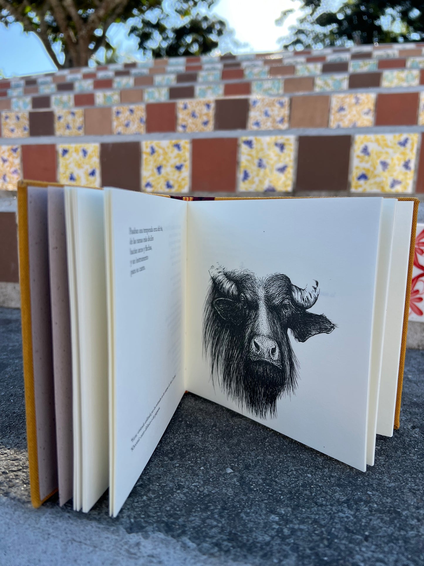 Cesto de trenzas - Natalia Litvinova - Imagen 3