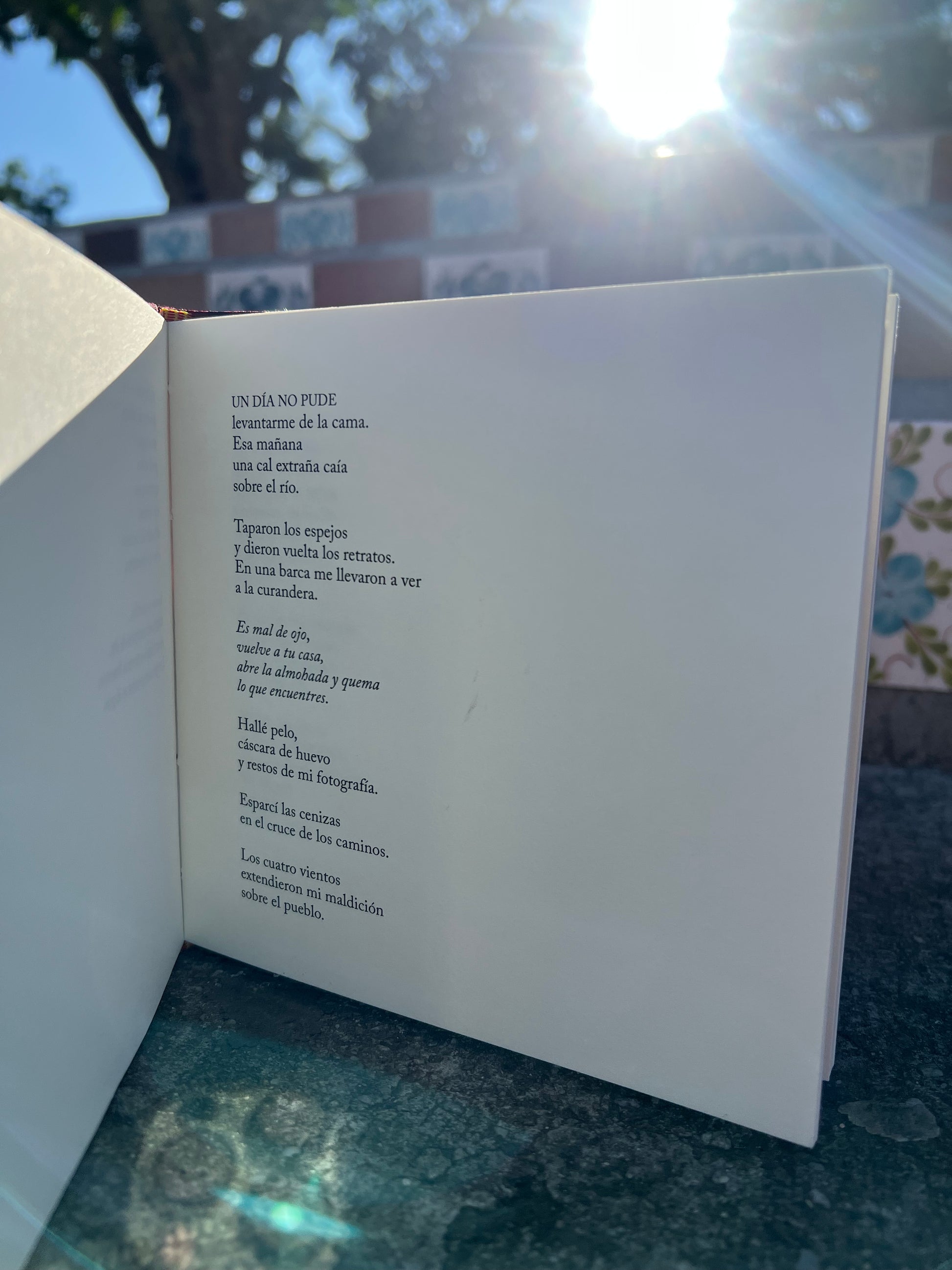 Cesto de trenzas - Natalia Litvinova - Imagen 4