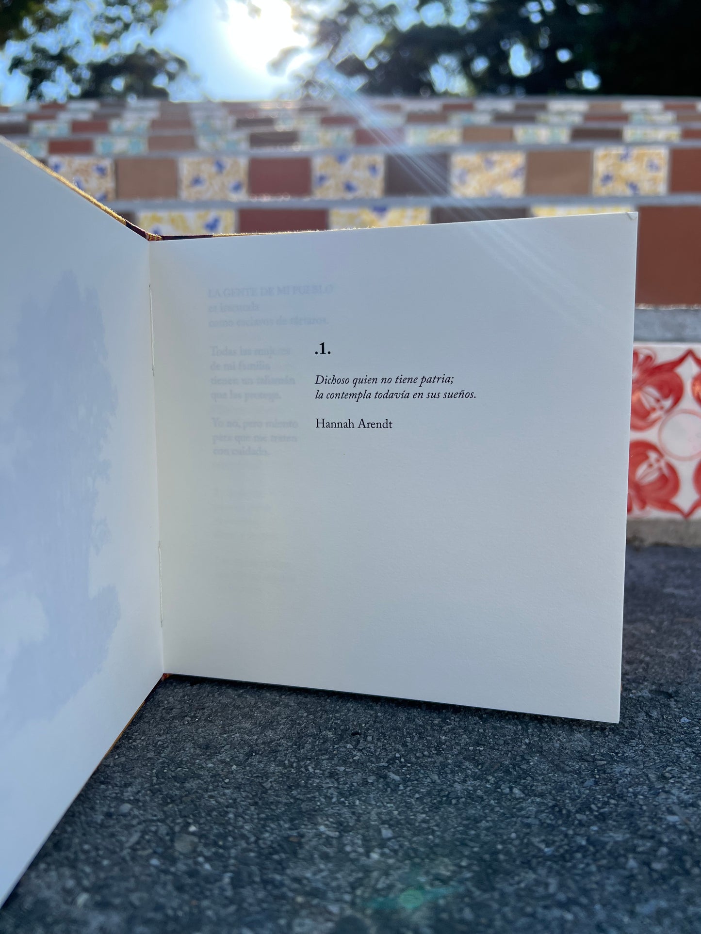 Cesto de trenzas - Natalia Litvinova - Imagen 5