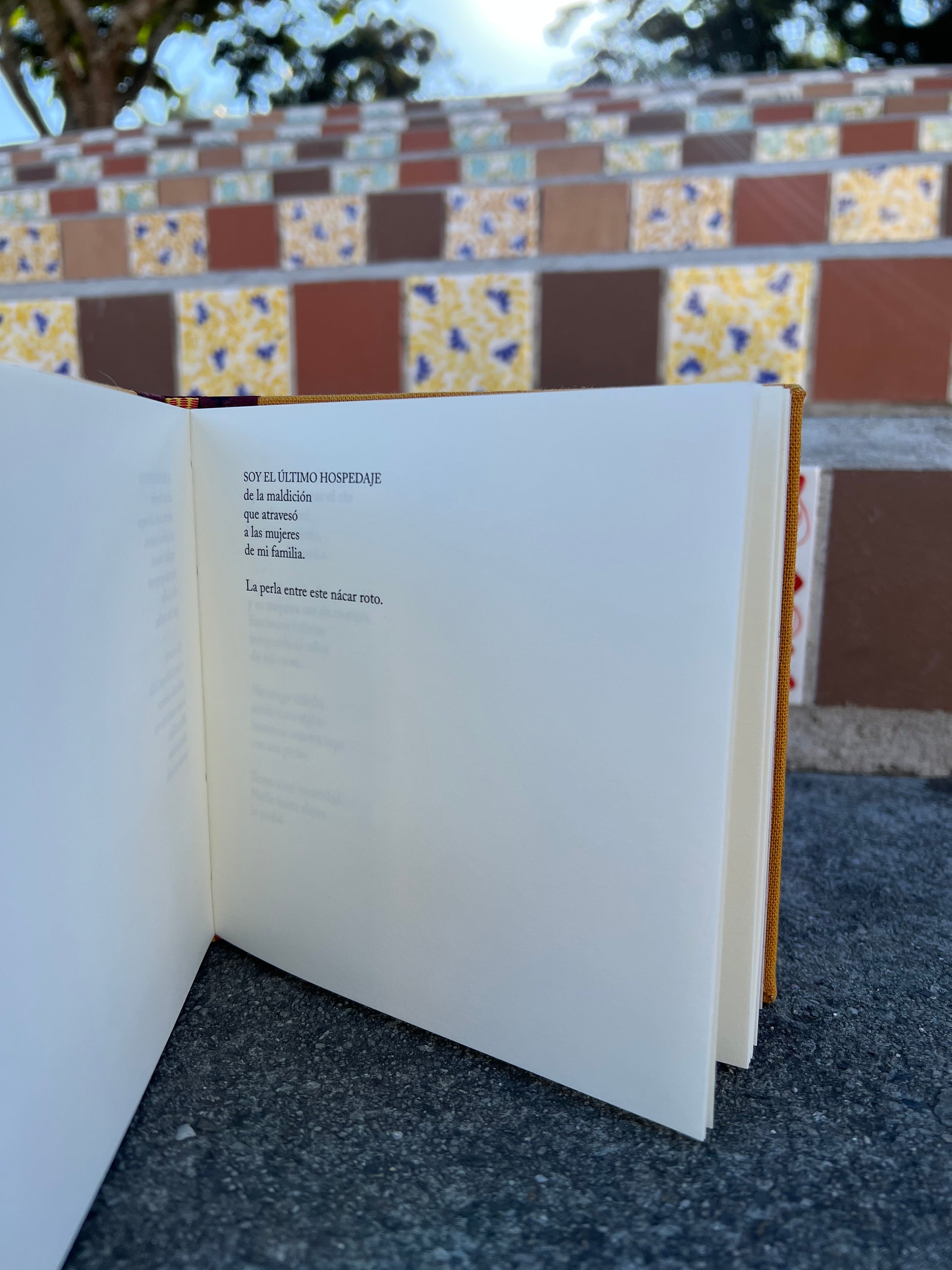 Cesto de trenzas - Natalia Litvinova - Imagen 6