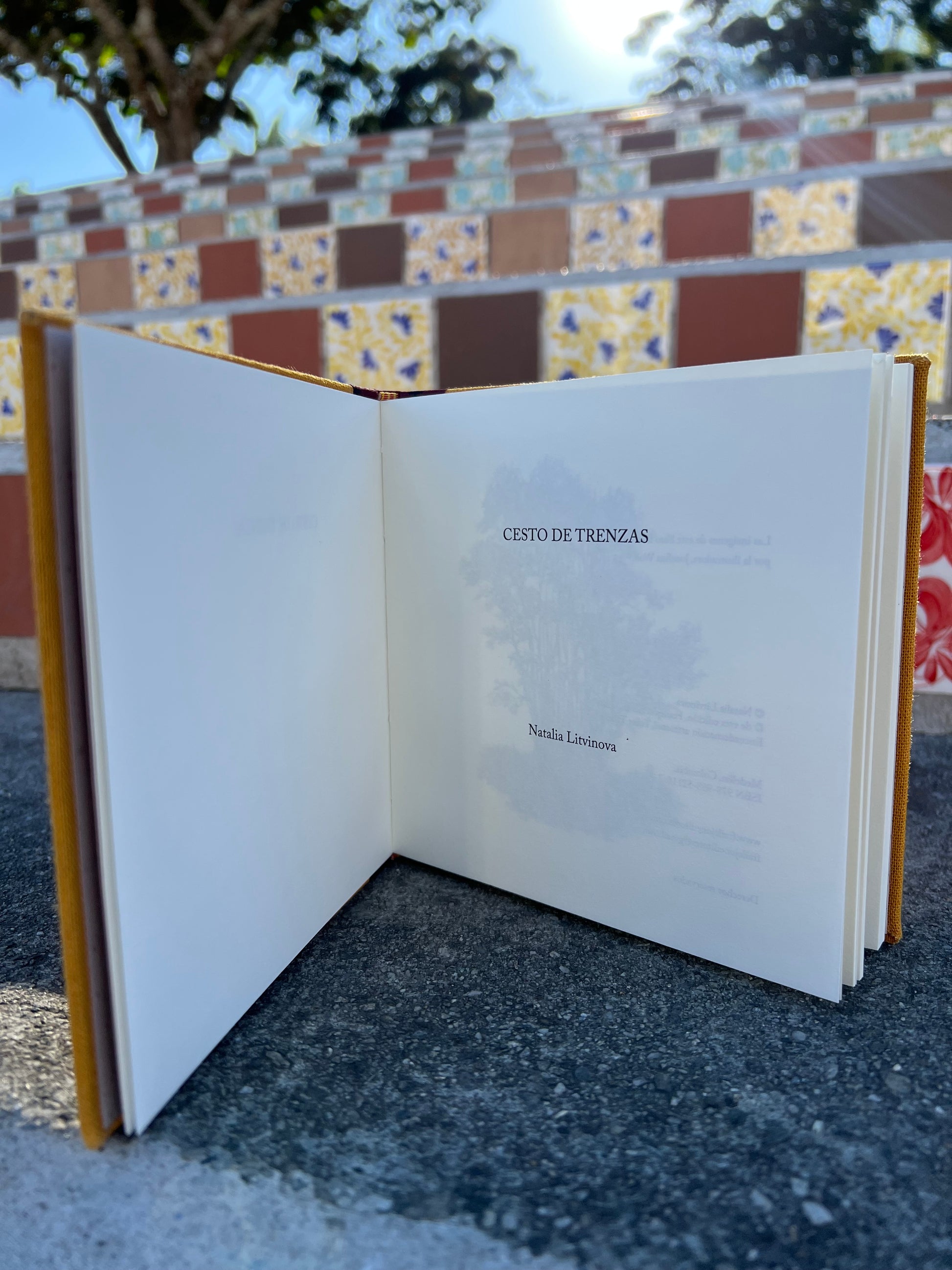 Cesto de trenzas - Natalia Litvinova - Imagen 7