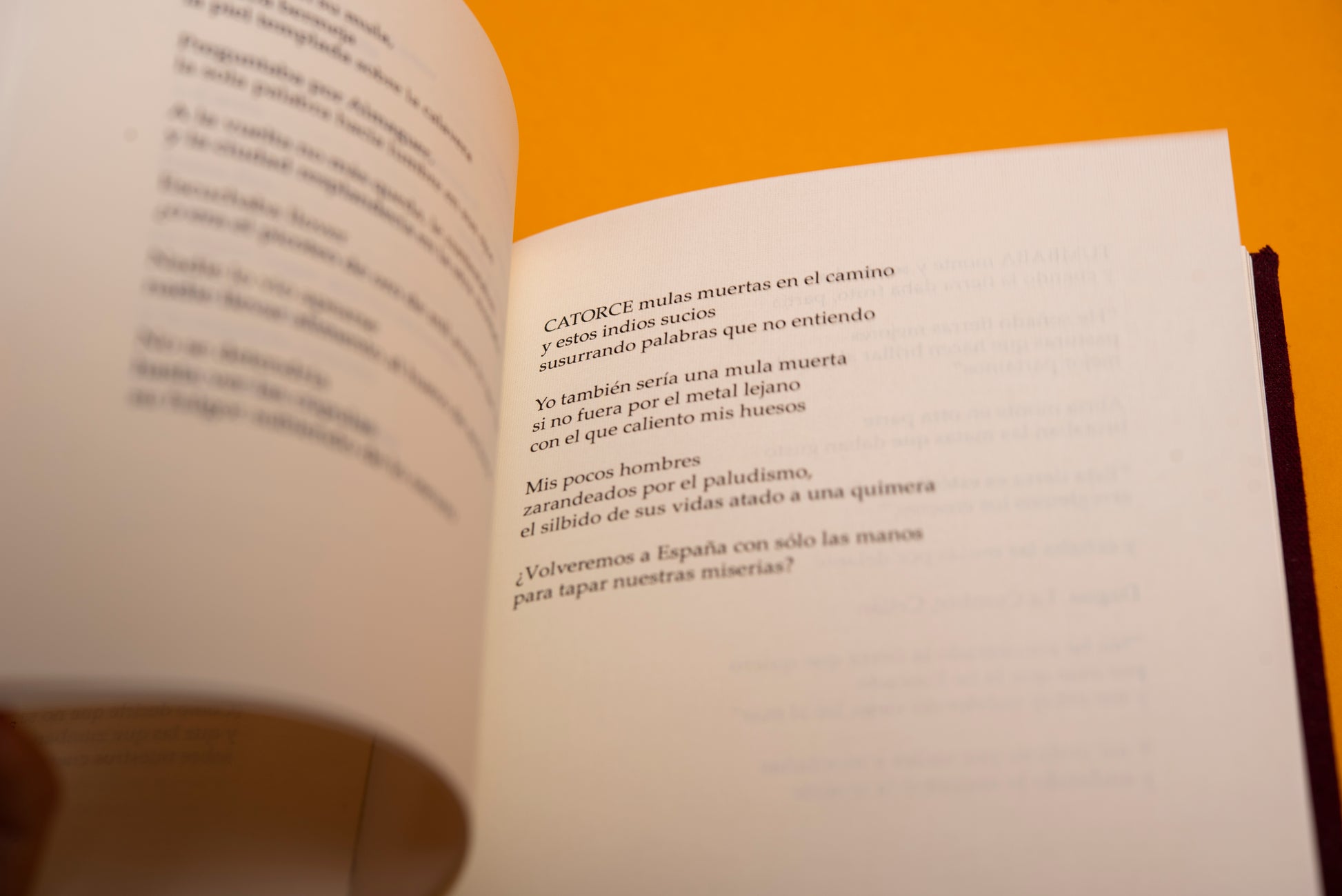 Conversación a oscuras - Horacio Benavides - Imagen 5