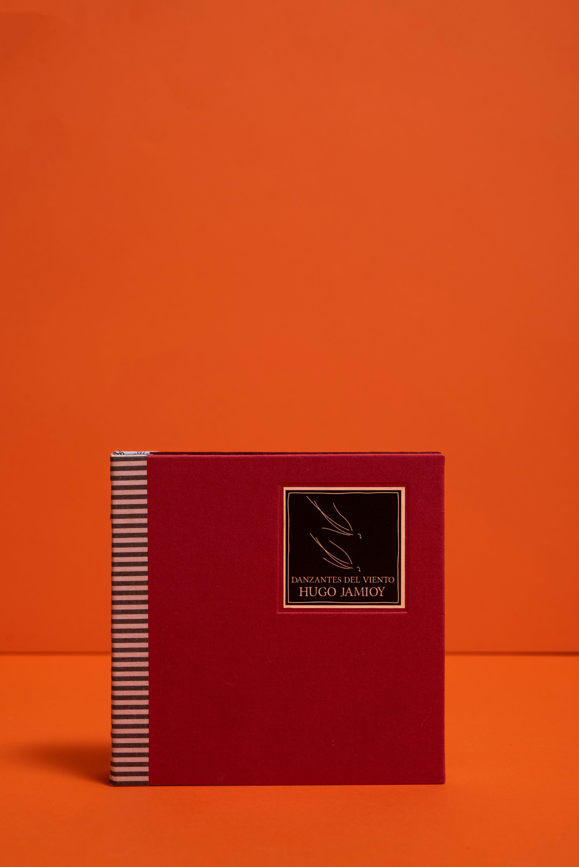 Danzantes del viento - Hugo Jamioy - Imagen 2