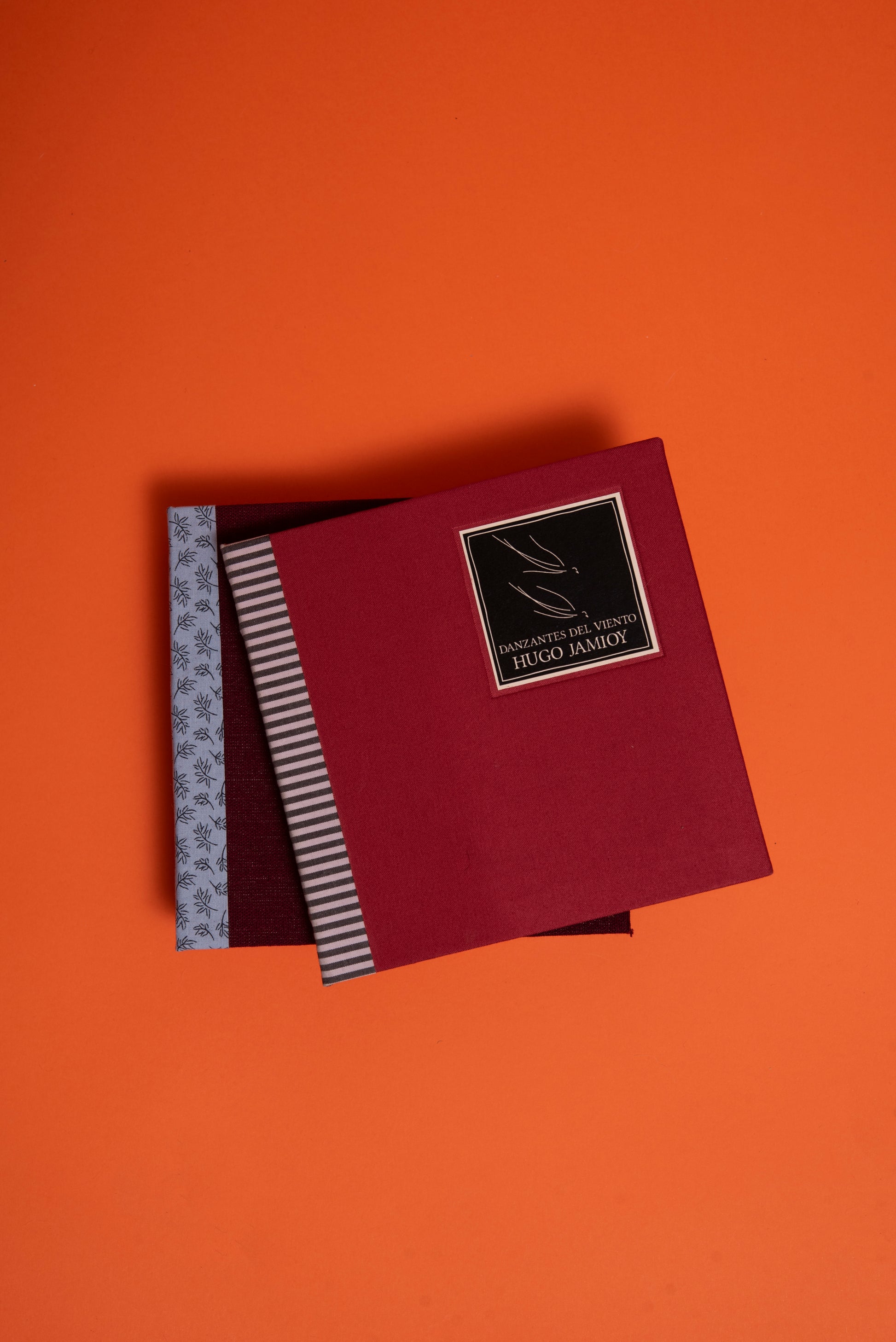 Danzantes del viento - Hugo Jamioy - Imagen 3