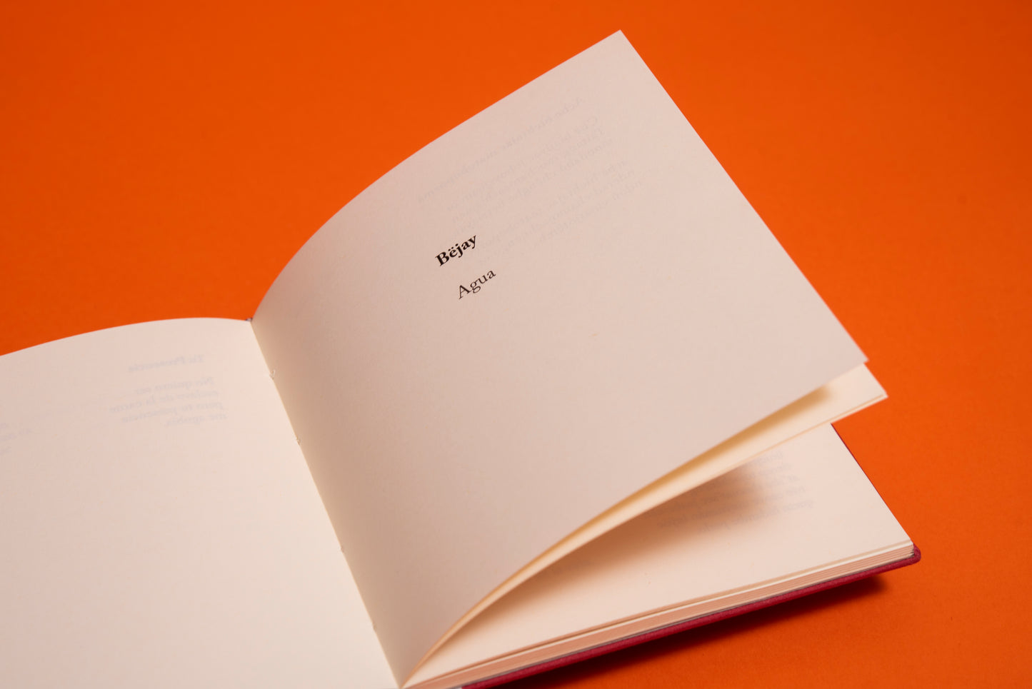 Danzantes del viento - Hugo Jamioy - Imagen 9