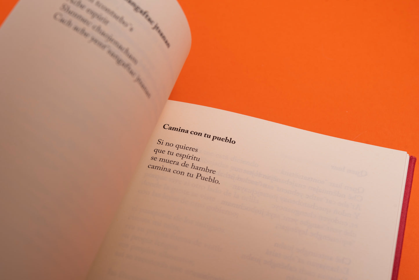 Danzantes del viento - Hugo Jamioy - Imagen 11