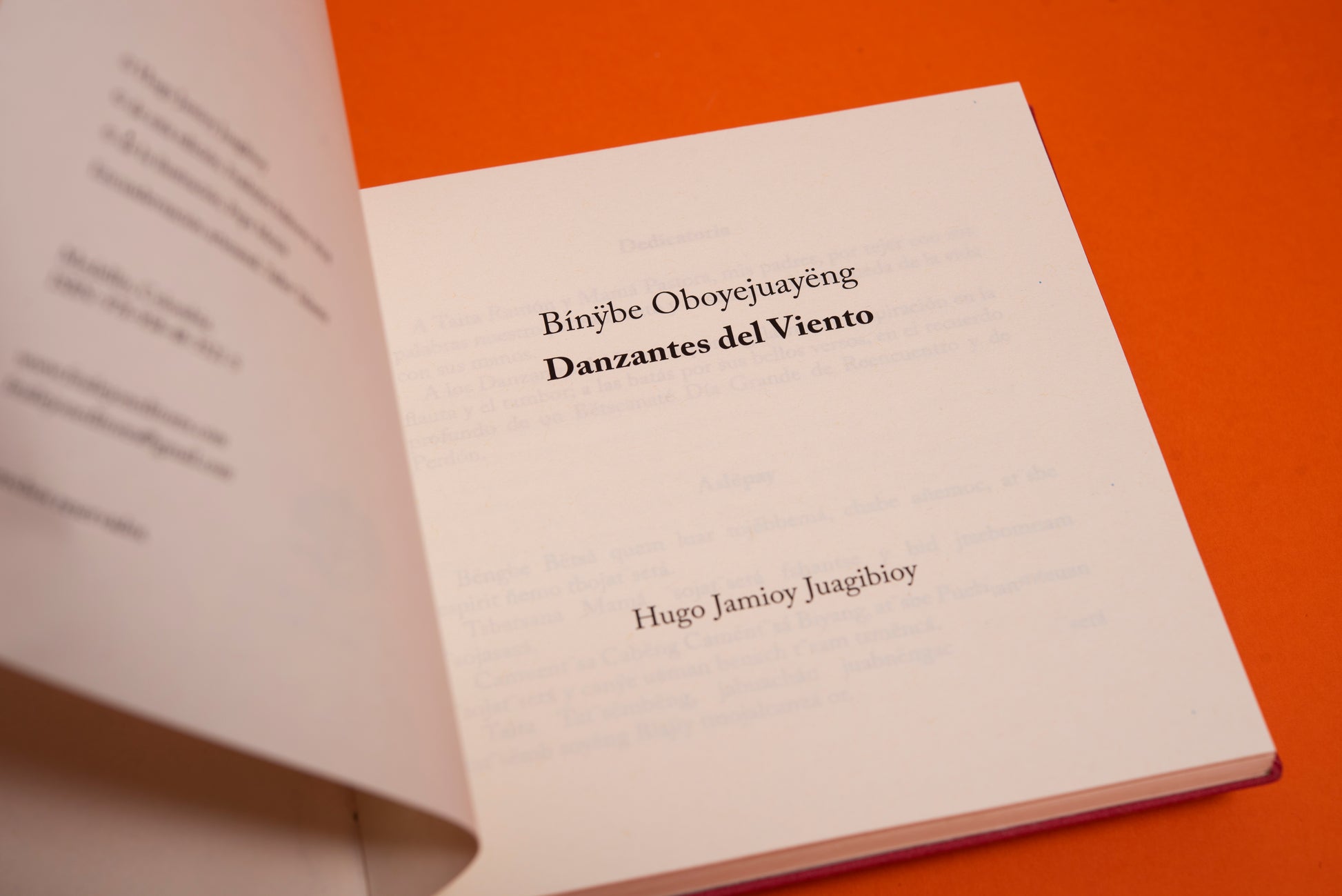 Danzantes del viento - Hugo Jamioy - Imagen 12