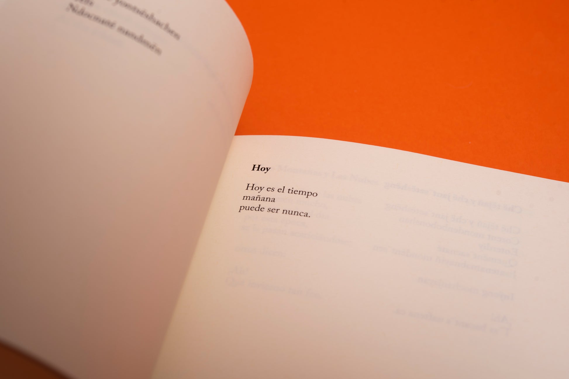 Danzantes del viento - Hugo Jamioy - Imagen 13